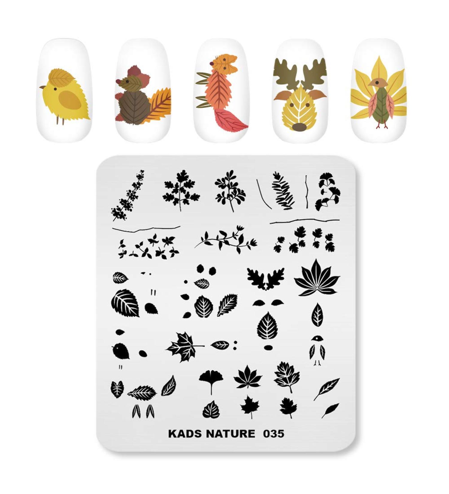 Alexnailart Nail Art Stamping Plates Image Template Nature Plant Leaf Pattern Design Stamper Nail Art DIY Print Manicure Nail Art Stencil Tools NA035 - Buy Online on GoSupps.com
