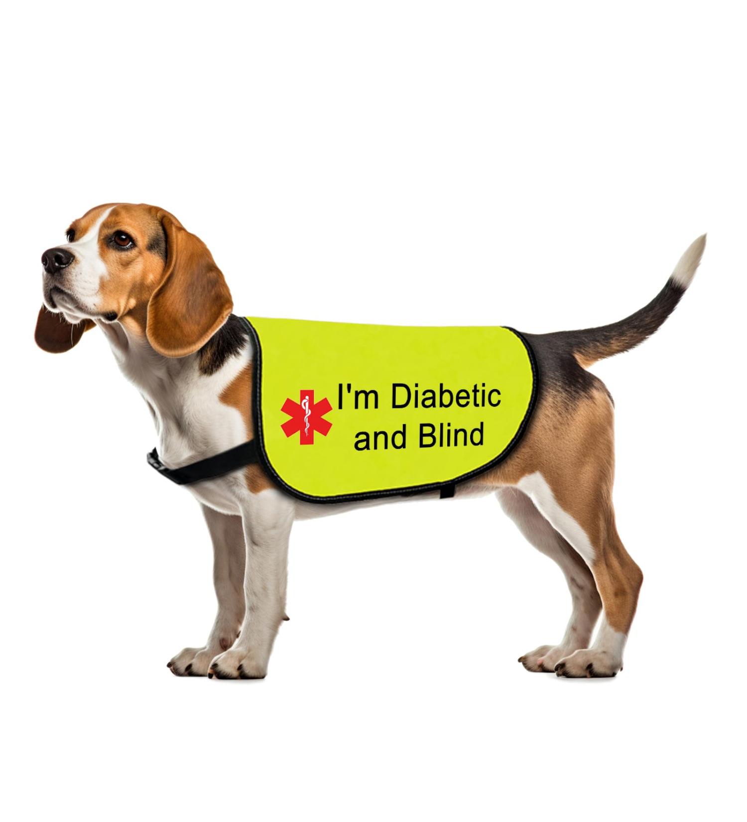 Funny Nervous Dog Jacket Vest Nervous of Dogs But Loves People Dog Slogan Vest Friendly Dog Gift (Diabetic and Blind-Large) - Buy Online on GoSupps.com