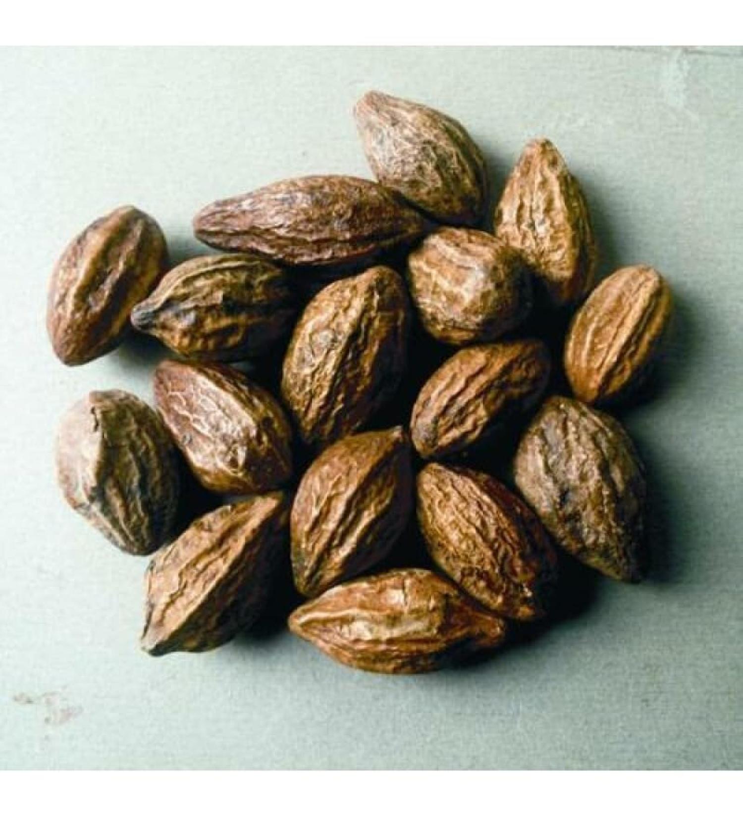 Neel Ayurvedics Neel Ayurvedics Herd | Dried Whole Haritaki | Haritaki Seeds - 250 GM