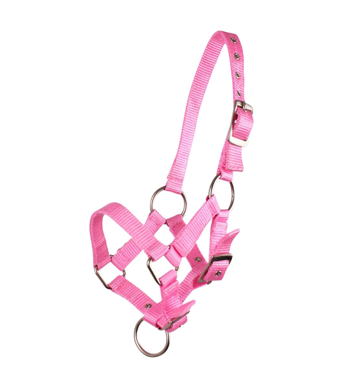 QHP foal halter foal nylon halter 4 foal sizes 6 colours (pony foal pink) pony foal pink