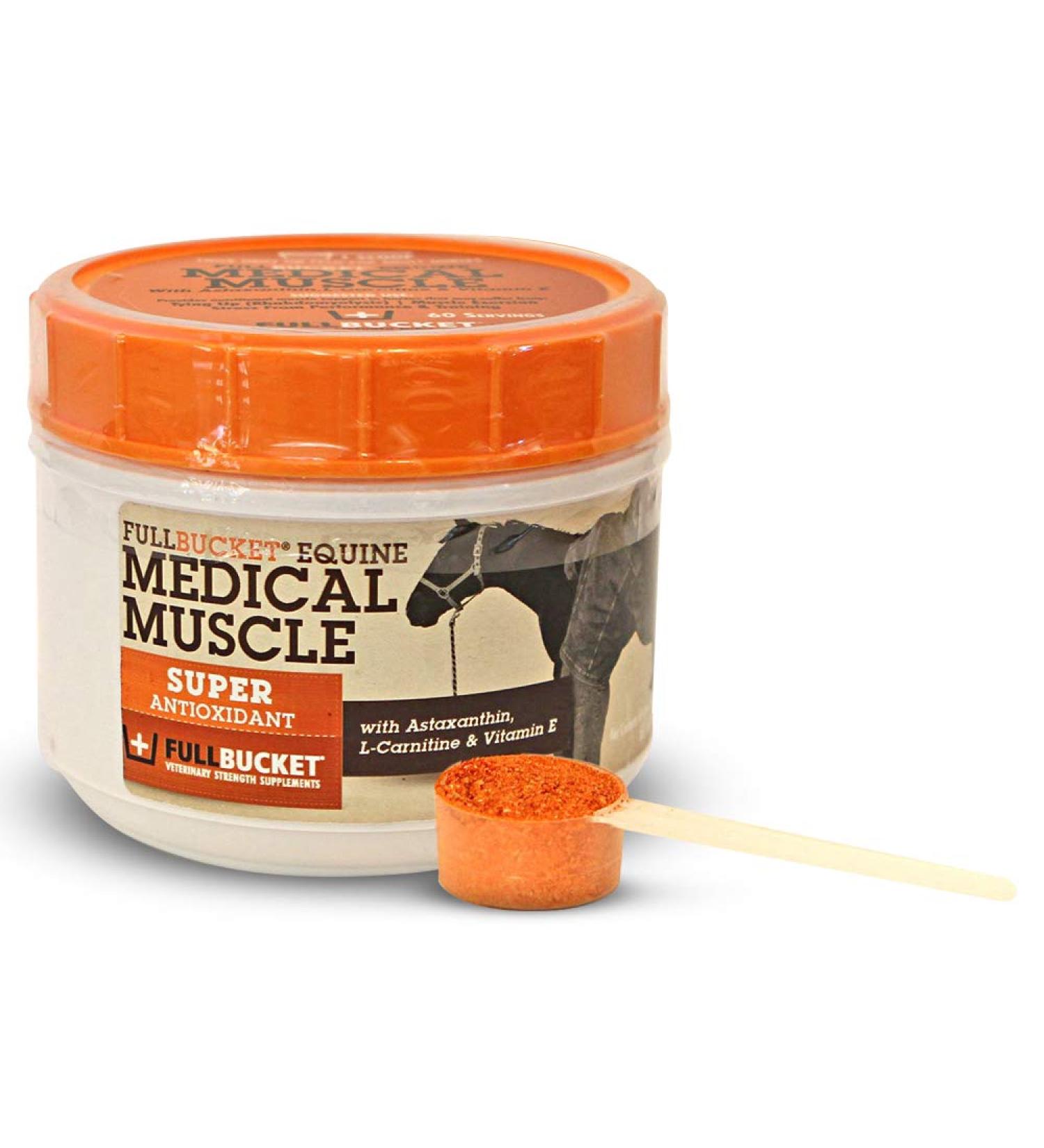 Equine Medical Muscle Recovery - Best Athletic Supplement for Horse Performance & Muscle Recovery - Buy Online on GoSupps.com