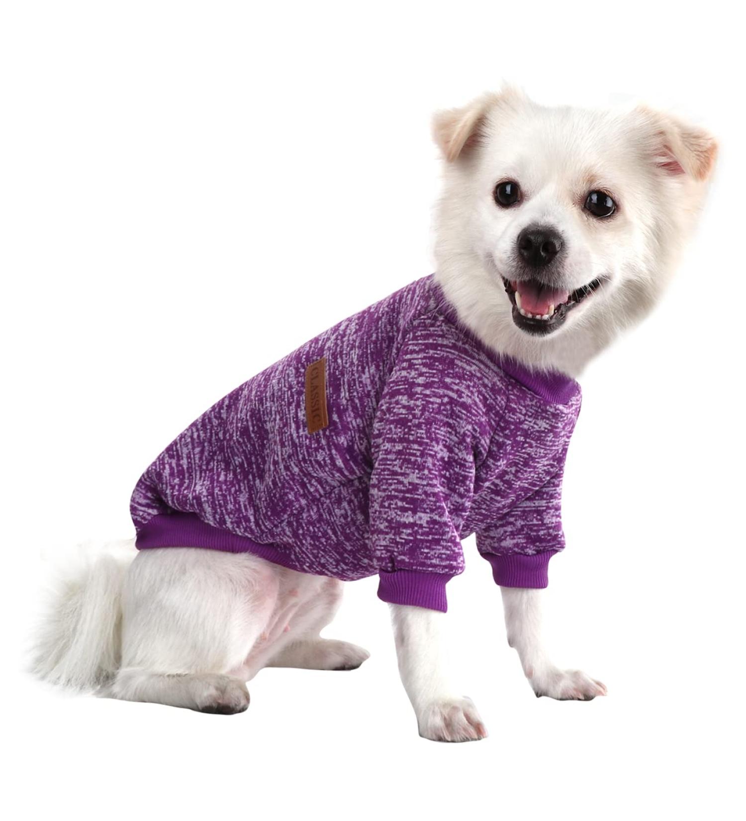 Hualisiji Dog Sweater for Small Dogs - Cozy Lightweight Chihuahua Hoodie - Soft Knitting Texture (Purple XXL) - Buy Online on GoSupps.com
