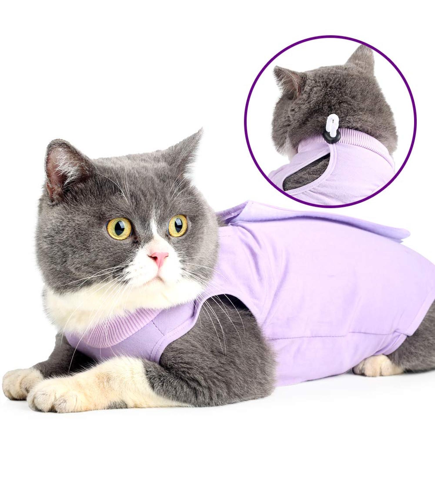 Ouuonno Cat Wound Surgery Recovery Suit - Abdominal Wound & Skin Disease Pajama | E-Neck Band Alternative for Cats & Dogs Size L Violet - Buy Online on GoSupps.com