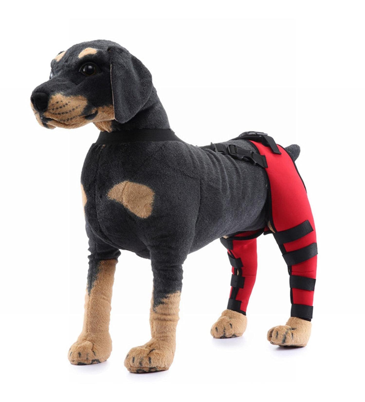 Pet Dog Hind Leg Brace Support Belt Pet Dog Double Hind Leg Brace Support Belt for Heals Prevents Injuries Sprains Protects Wounds. A X-Small - Buy Online on GoSupps.com