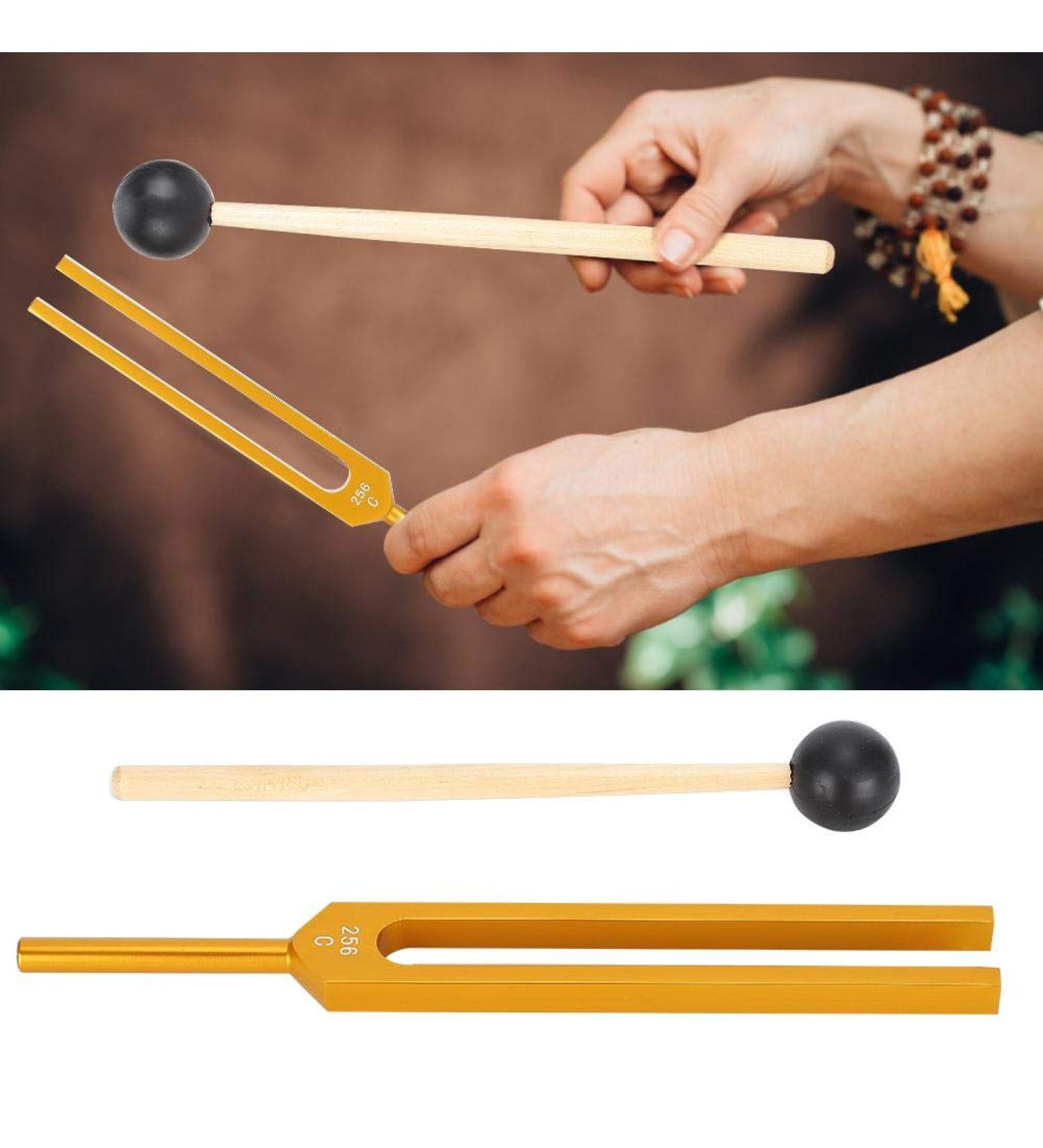 Tuning Fork Sound Vibration Therapy Strong Voice for Physics Experiments Teaching - Buy Online on GoSupps.com