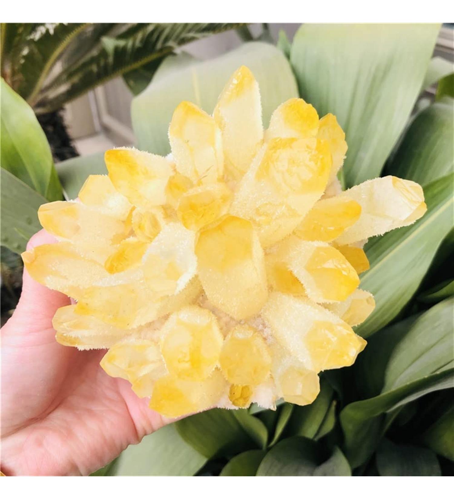 Natural Crystal Rough Home Decoration Natural Citrine Phantom Quartz Crystal Cluster Specimen Stones (Size : 600-700g) - Buy Online on GoSupps.com