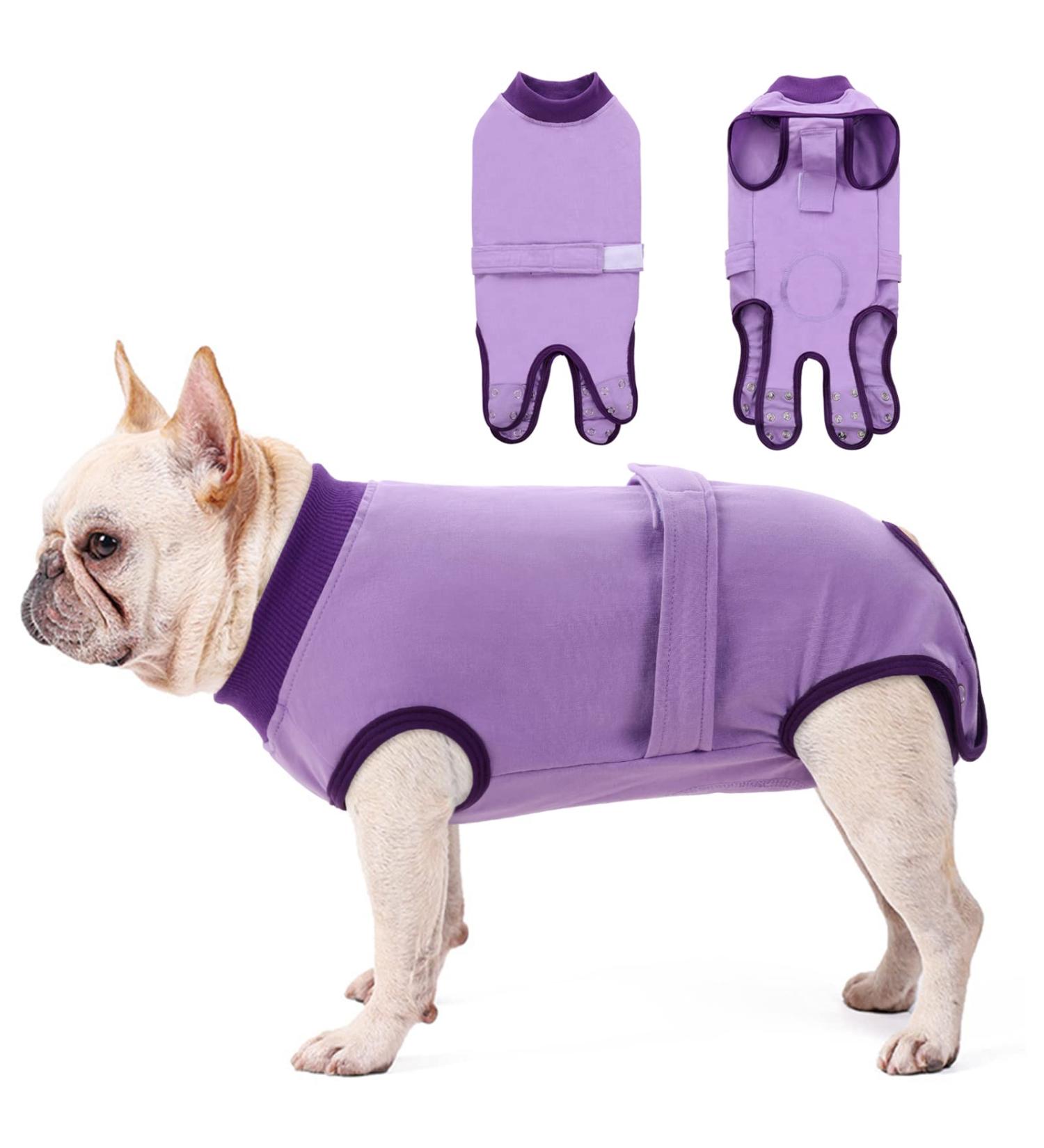 Convinite Recovery Suit for Dogs | Post-Op Wound Protection | Breathable Castration Suit for Males & Females | XS Purple - Buy Online on GoSupps.com