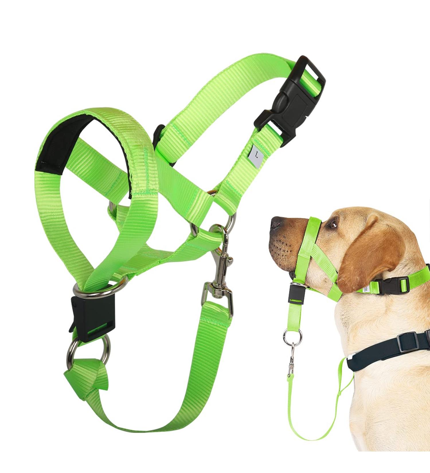 Barkeless Dog Halter for Easy Training & Walks - Soft Handle Pulling Solution Expert Instructions - Size M Green - Buy Online on GoSupps.com