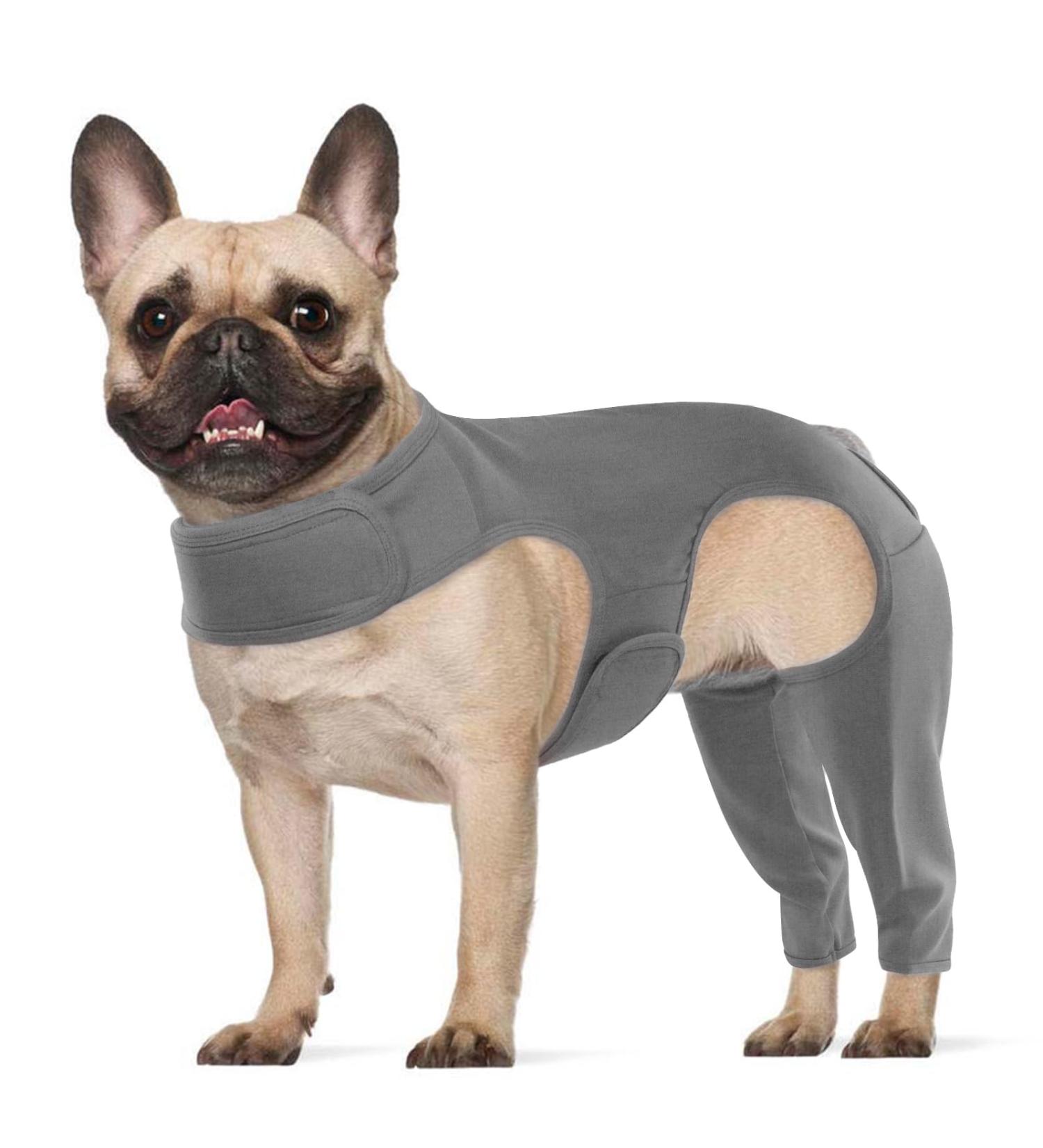 Buy Hjyokuso Dogebody Suit - Post-Op Wound Protection for Dogs Anti-Licking Bodysuit & E-Collar Alternative in Gray - Buy Online on GoSupps.com