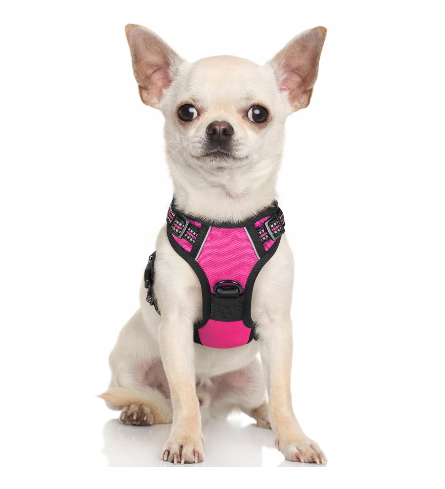Rabbitgoo Dog Harness for Small Dogs - No Pull Adjustable & Breathable Pink XS - Safe Control & Comfort - Buy Online on GoSupps.com