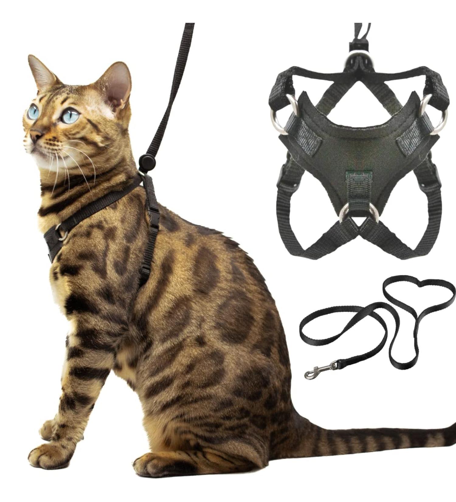 Buy Large Outdoor Bengal Cat Dishes & Leash Set - Outbreak-proof Non-Choking Adjustable Soft Vest for Large Cats - Buy Online on GoSupps.com