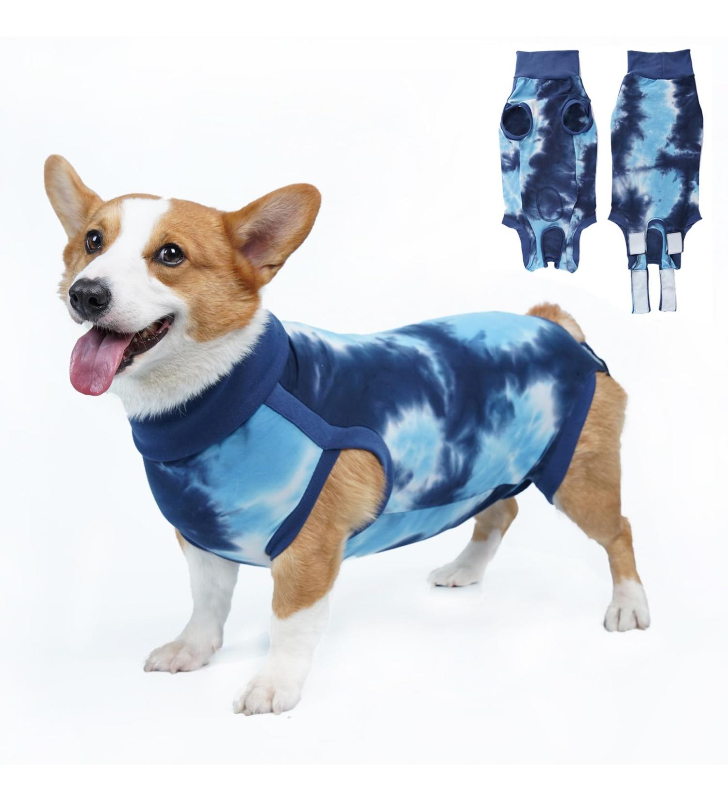 Buy Lianzimau Dogebody Suit | Post-Surgery Protective Wear for Male Dogs | XS Tie-Dye Blue Dog Shirt - Buy Online on GoSupps.com