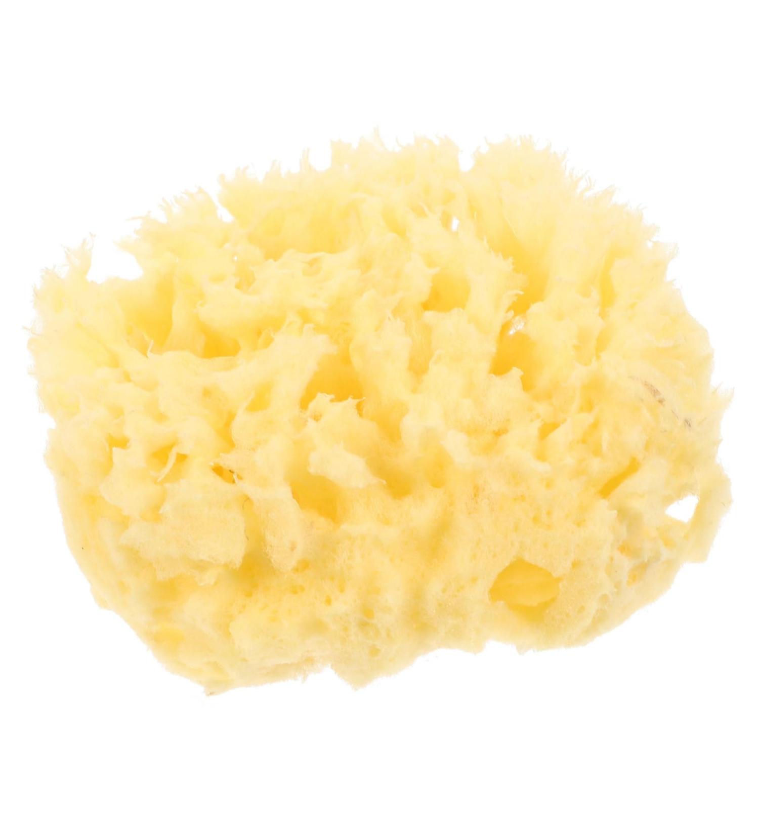 Mikinona Moisturizer Bathing Sponge Body Sponge Bath Sponges for Bathing Sponge for Body Natural Sponges for Body Sea Sponges for Shower Natural Sponges for Bathing Sponge Bath - Buy Online on GoSupps.com