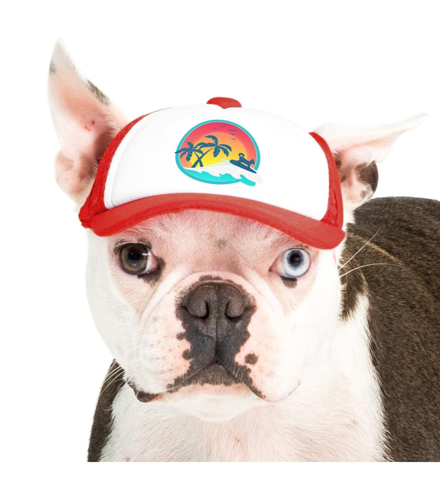 PupLid XS Trucker Hat for Dogs - Stylish Sun Protection for Active Dogs - Red Surfer Dog - Buy Online on GoSupps.com