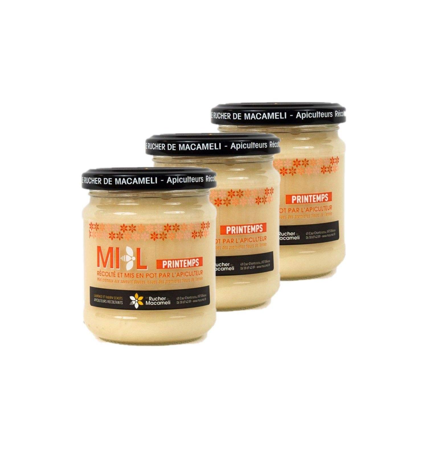 Set of 3 Spring Honey – Monts du Lyonnais – Rhône Alpes – Le Rucher de Macameli – Pot 250 g