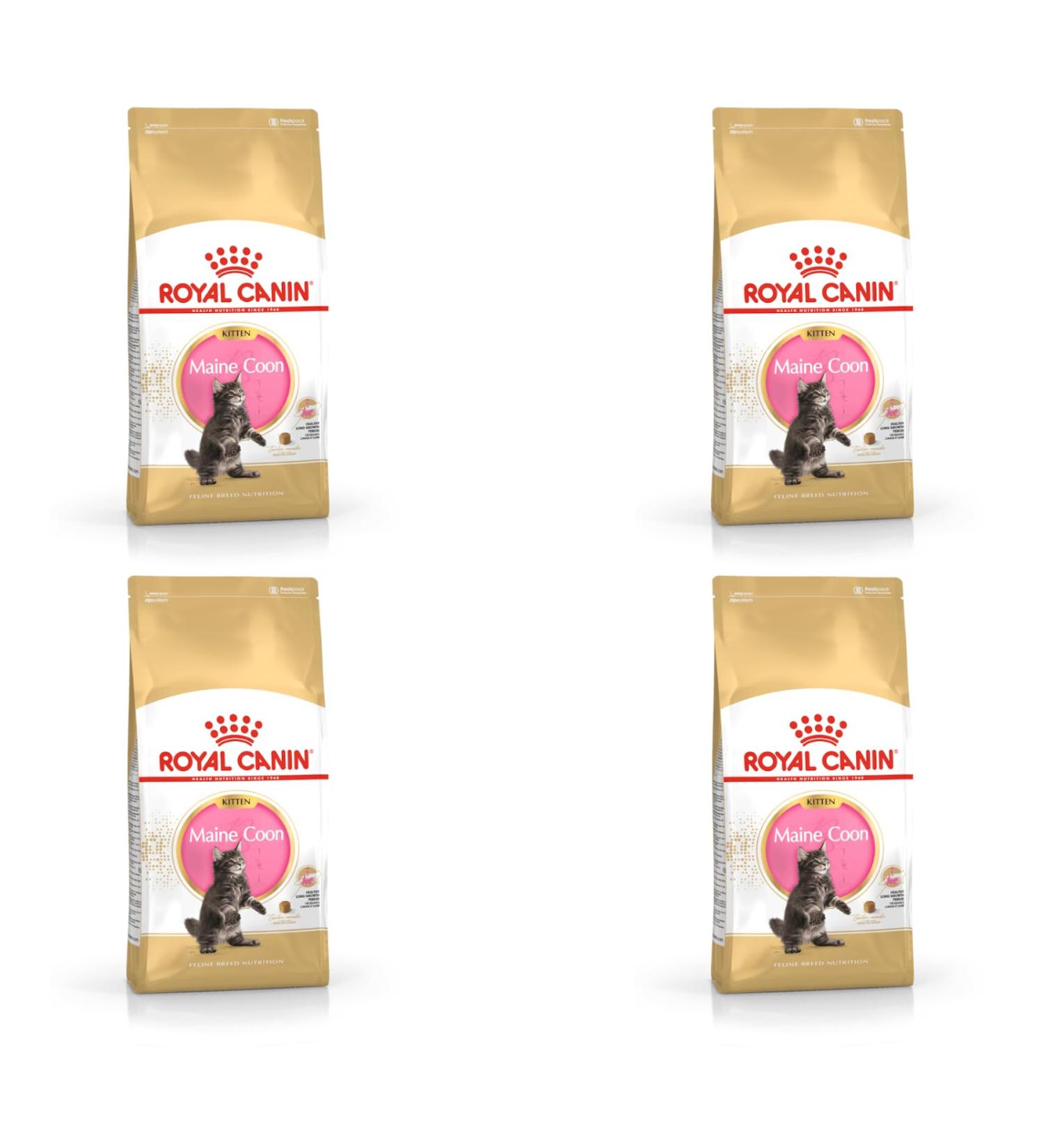 Royal Canin Maine Coon Kitten Dry Cat Food 4 x 400g - Buy Online on GoSupps.com
