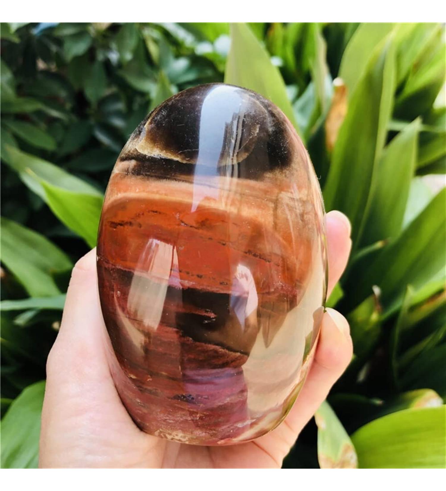 Natural Crystal Rough Natural Wood Polished Quartz SpecimenHome DecorationStones (Size : 350-400g) (Size : 450-500g) - Buy Online on GoSupps.com