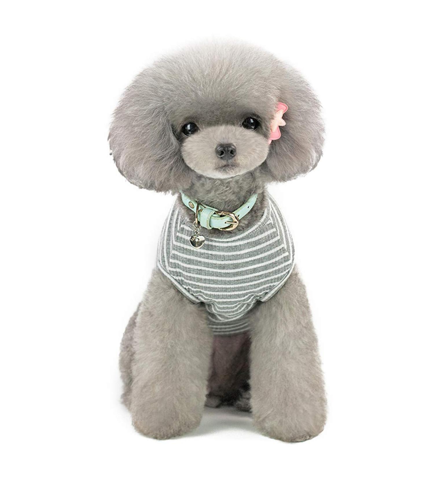 Buy Cute Striped Pet Pullover Sweater for Small Dogs & Cats - Cozy Knit Sweater in Pink Red Blue Gray | Ideal for Pets 1.2-9.0 kg - Buy Online on GoSupps.com