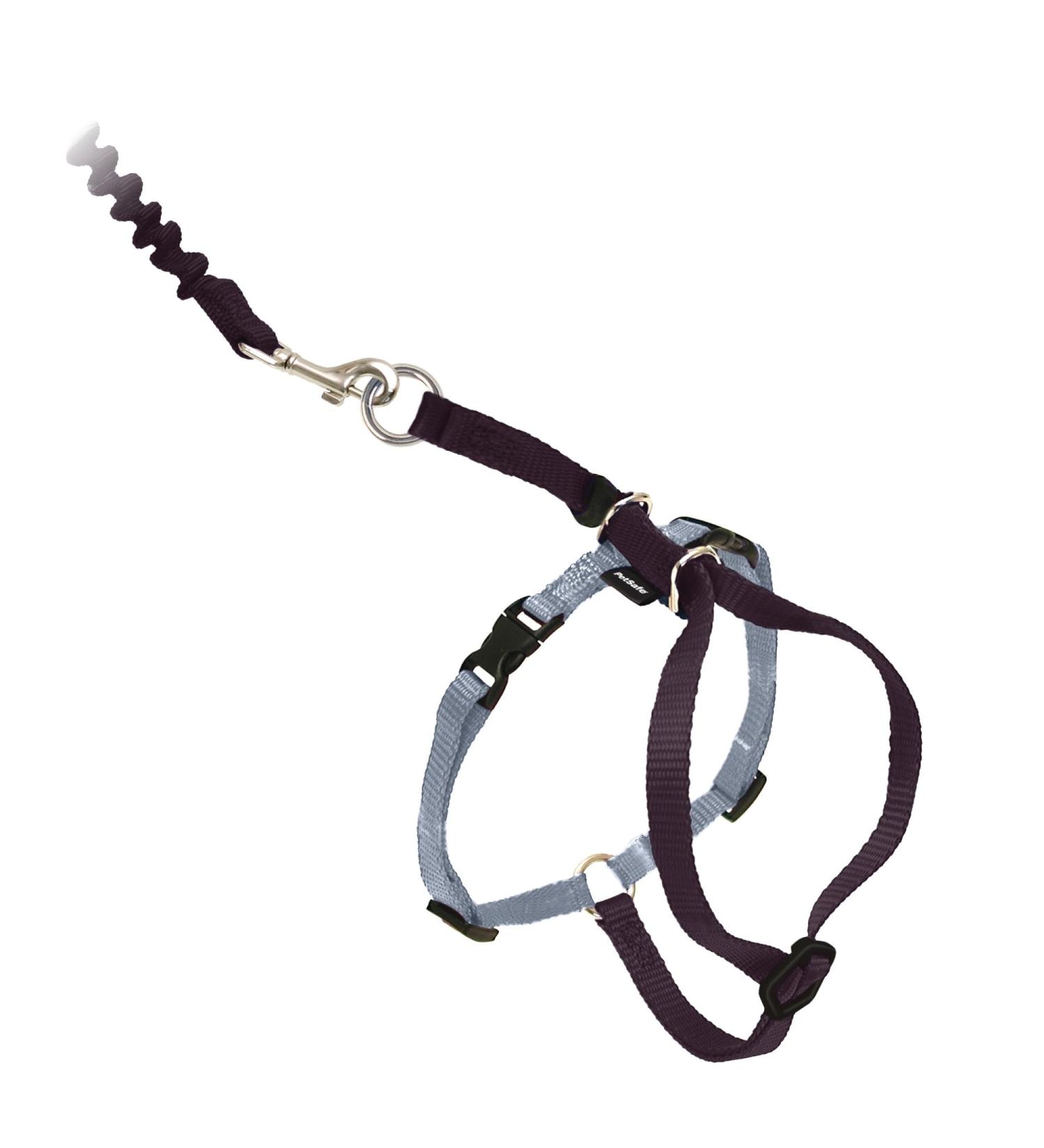 PetSafe Come with Me Kitty Harness & Bungee Leash - Adjustable Cat Harness for Large Cats | Black/Silver & Black/Beige - International Shipping Available - Buy Online on GoSupps.com