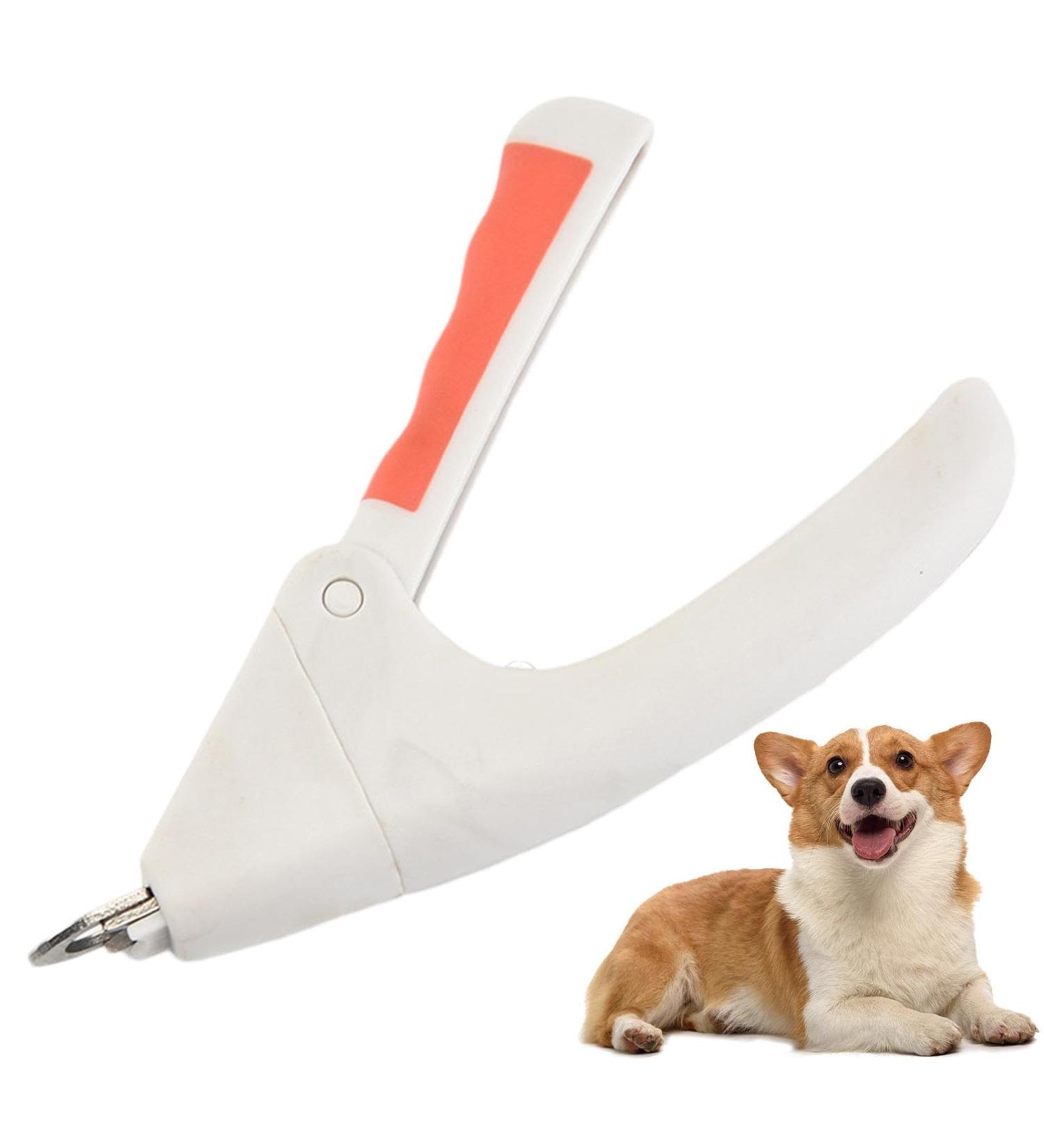 Cat Nail Clippers Stainless Steel Pet Nail Clipper Professional Cat Nail Clippers and Dog Nail Clippers | Cat Nail Clippers Grooming Tool for White - Buy Online on GoSupps.com