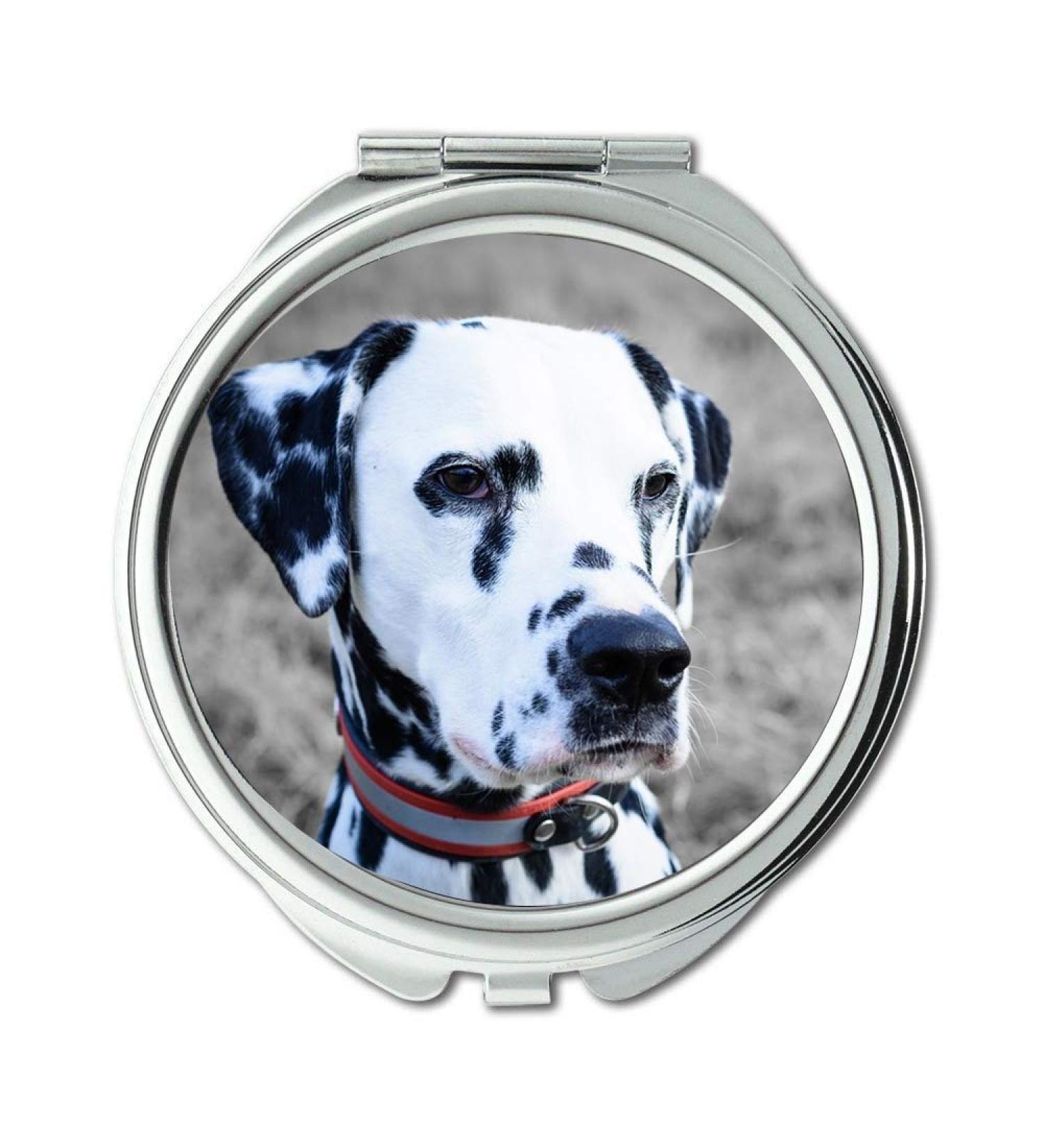YENDOSTEEN Mirror Compact Mirror Dalmatians Dog Portrait Animal Pocket Mirror portable mirror - Buy Online on GoSupps.com