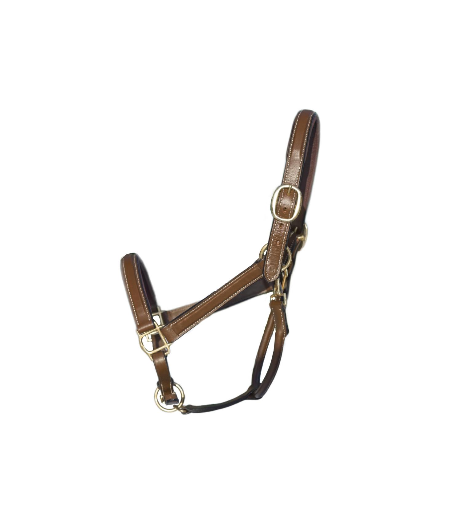 MiraQuine leather halter (VB/Cob light brown) VB/ Cob light brown