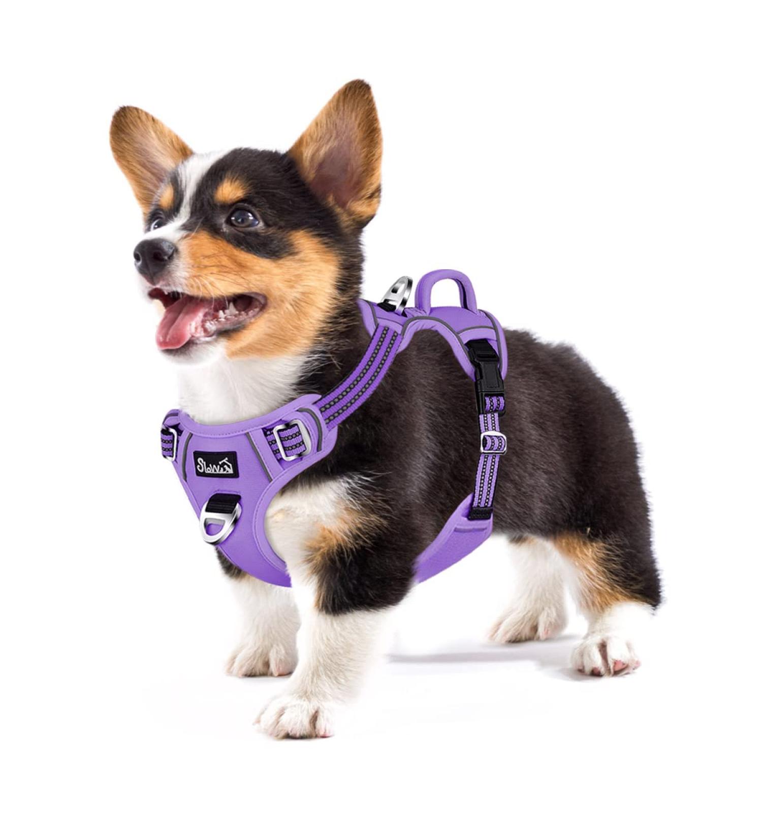 Eyin Adjustable Reflective Dog Harness for Small Dogs - Breathable Padded Vest with Handle & Front Bracket for Training (Purple Size S) - Buy Online on GoSupps.com