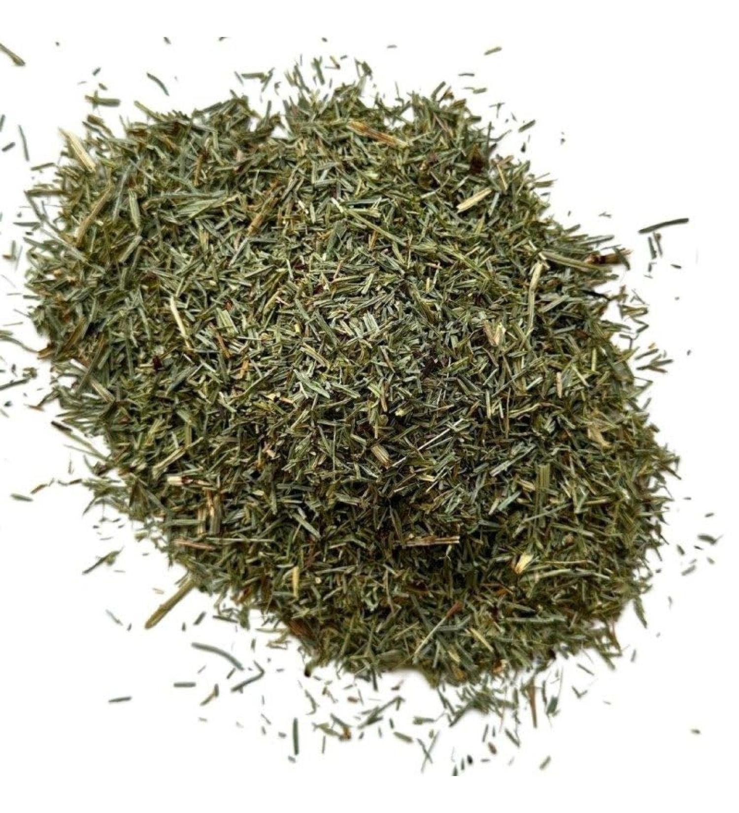 France Herboristerie France Herboristerie Herbal Tea Porcelain