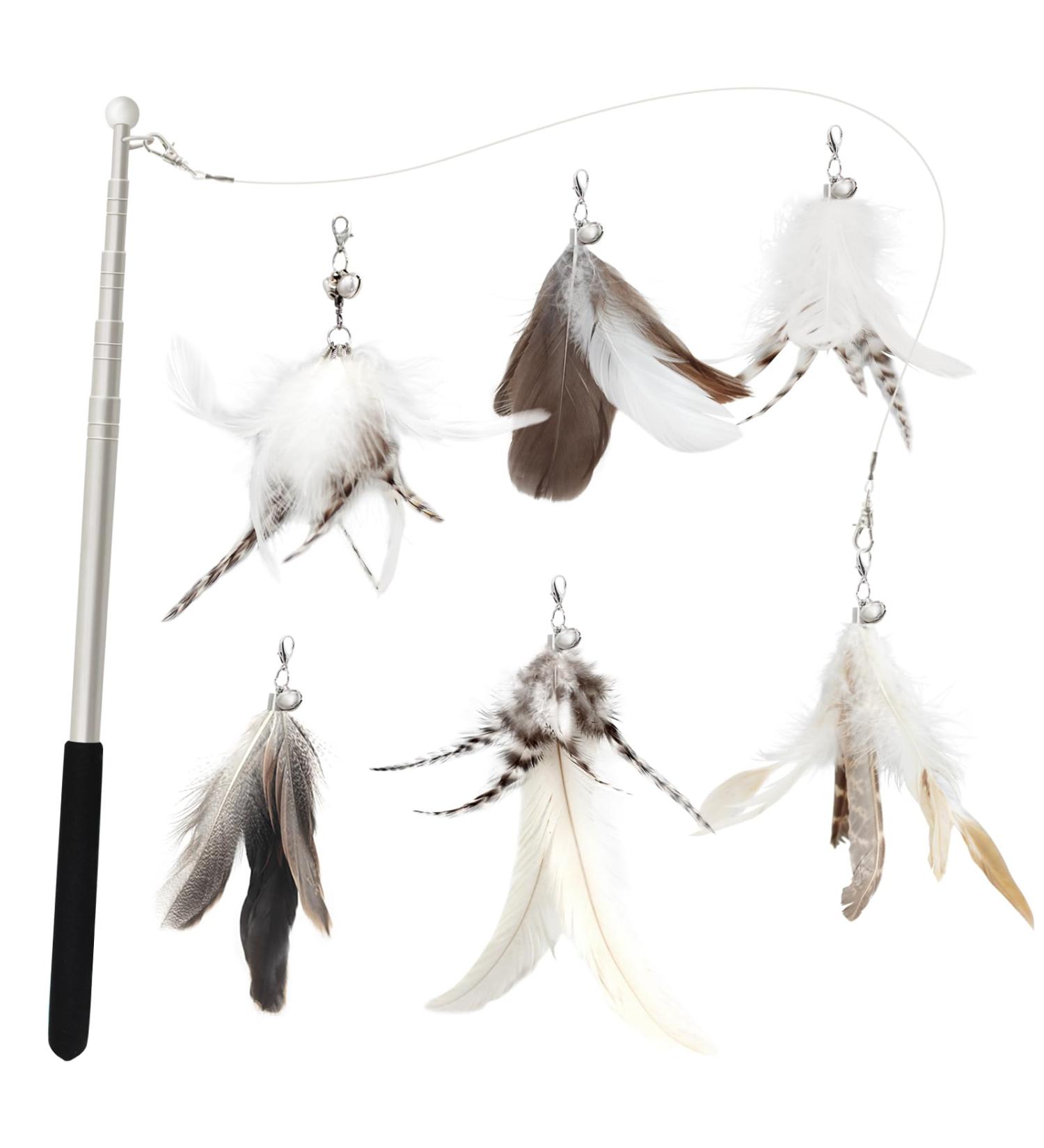 Songway Interactive Cat Toys Set - Retractable Feather Rod & 6 Replacement Springs with Bells for Ultimate Cat Fun - Buy Online on GoSupps.com
