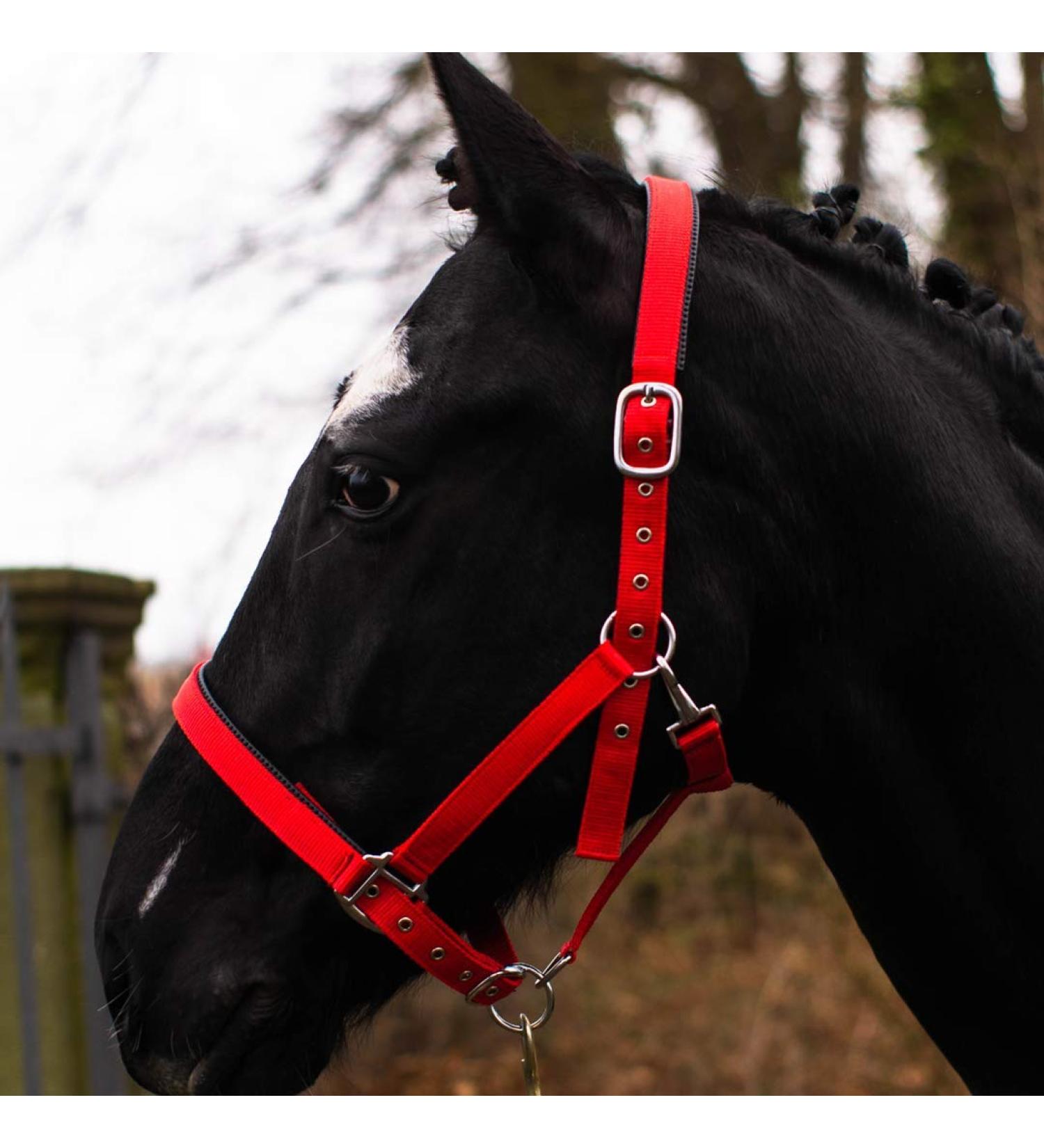 Premium Horse Delinis Halter for Warmblood & Thoroughbred - Adjustable Tear-Resistant Perfect for Pasture & Stable (Red Full Size) - Buy Online on GoSupps.com