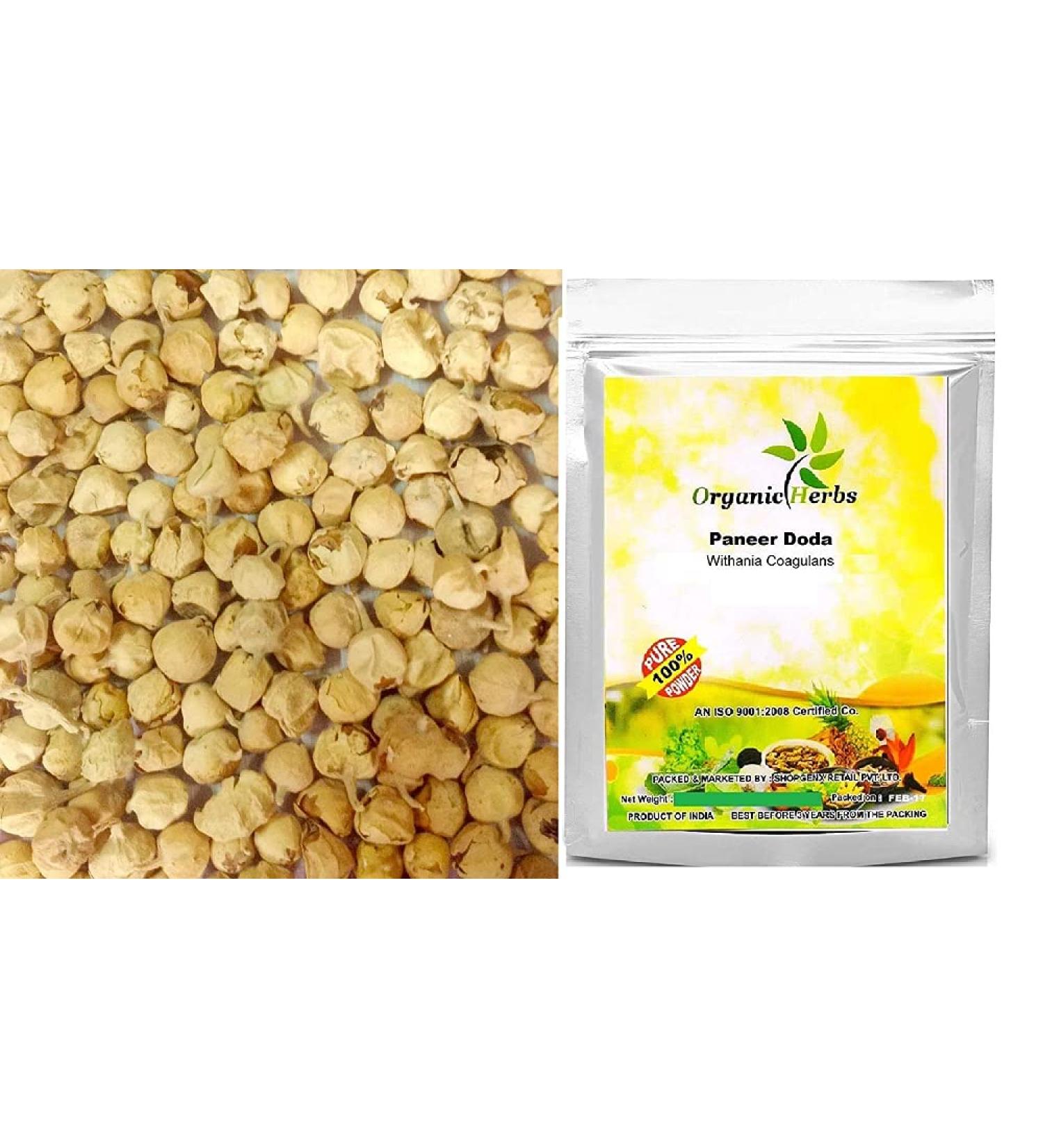 Paneer DODI | Indian Rennet | Paneer Doda | Withania coagulans | 100 Grm - Buy Online on GoSupps.com