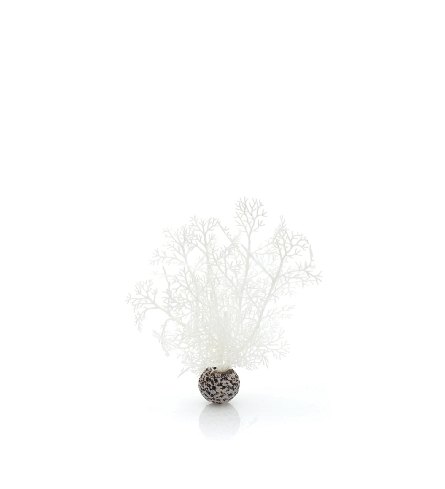 Biorb 46068 White Horn Coral - Small Plastic Aquarium Decoration | Easy to Clean | Natural & Artificial Coral for Freshwater & Saltwater Aquariums - Buy Online on GoSupps.com