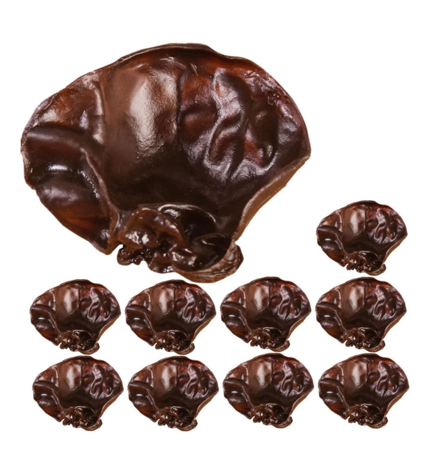 TOPBATHY 10pcs Simulation Vegetables Agarics Props Fake Agarics Vegetables Model Lifelike Veggies Vegetable Photography Props Small Agarics Decoration Wall Fake Black Fungus Food Pvc Dark Brown 5.00X4.20X1.00CM - Buy Online on GoSupps.com