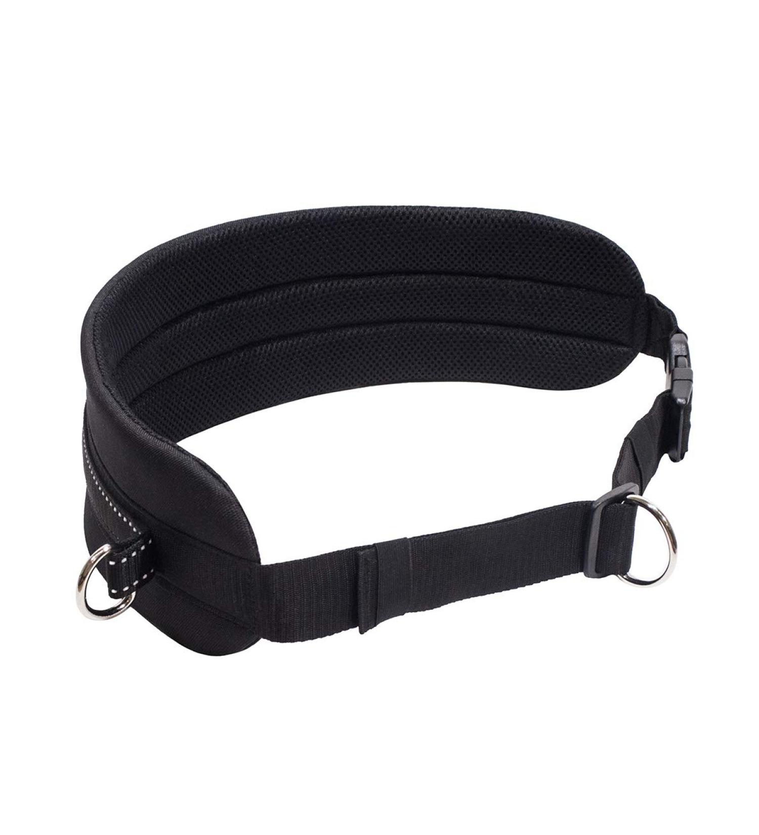 LASALINE Canicross Dog Trekking Belt Black - Buy Online on GoSupps.com