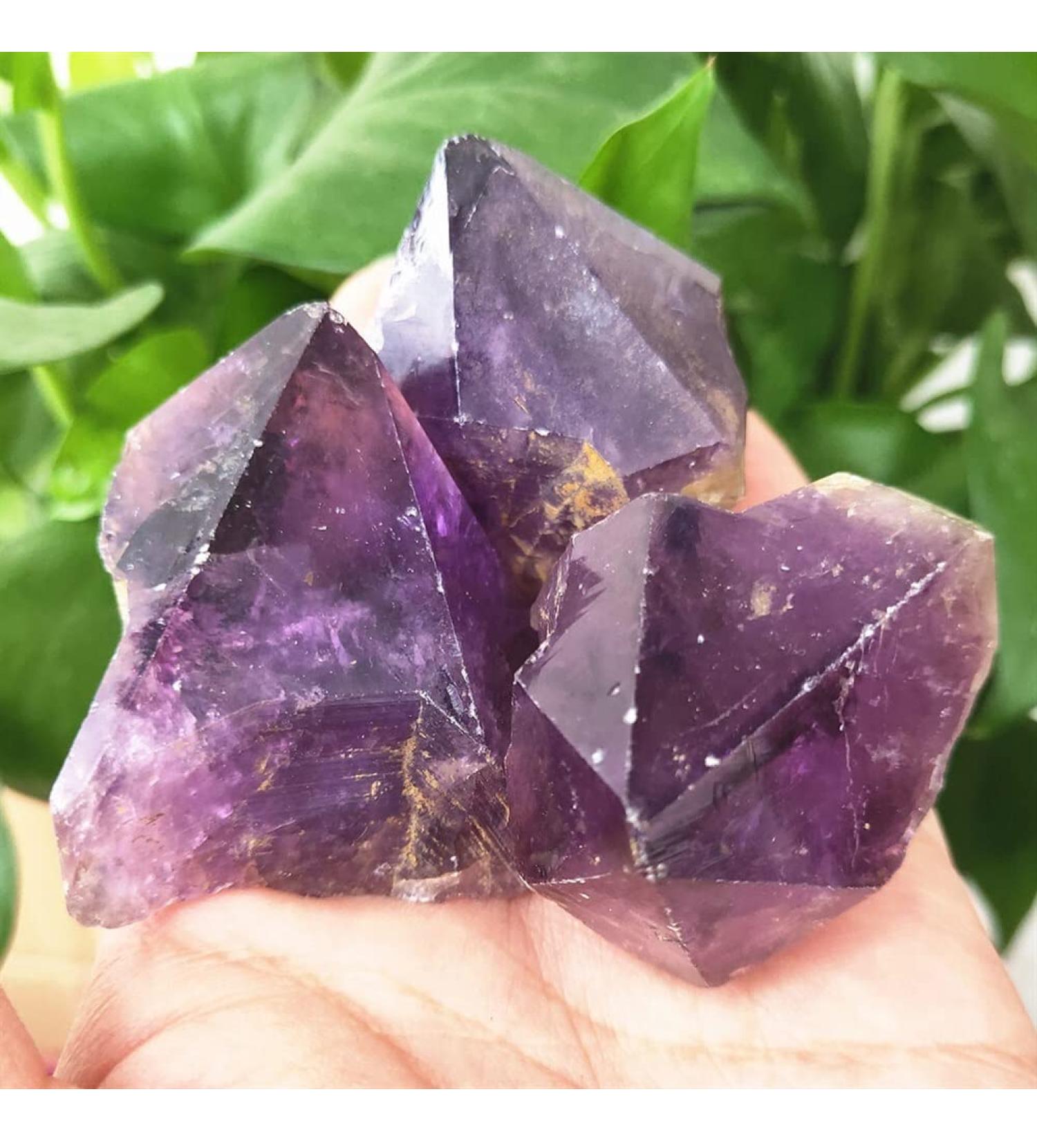 Raw Natural Rough Amethyst Crystal Quartz Stone 1-5pcs Suitable for Home Raw Stones and Minerals dingchi Stone Mineral Specimen (Size : 240-280g) - Buy Online on GoSupps.com