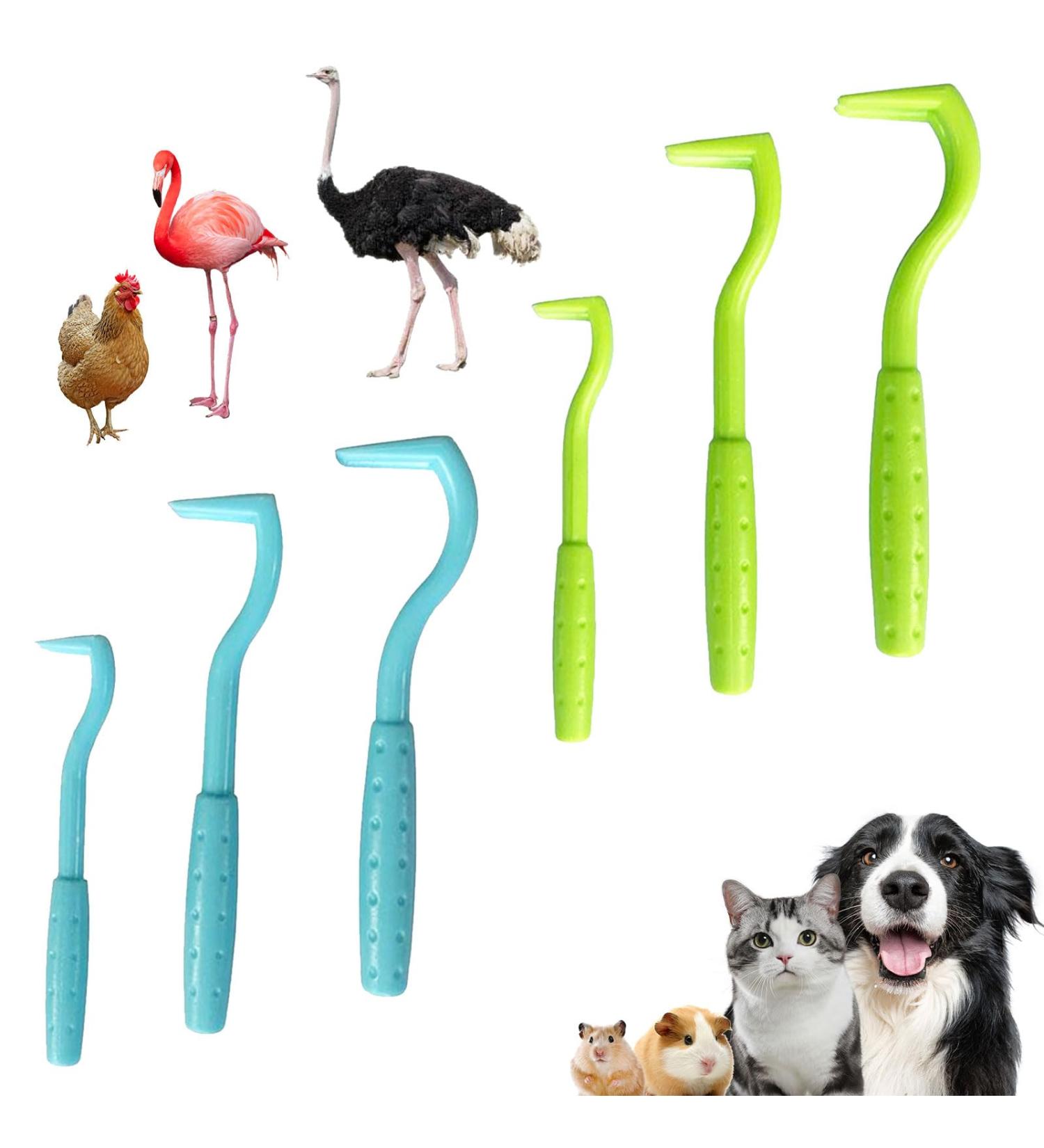 Eupsiiu 6-Piece Tick Removal Set for Dogs Cats & Horses | Gentle Tick Remover Tweezers & Pliers | Effective Tick Remedies in Blue & Green - Buy Online on GoSupps.com