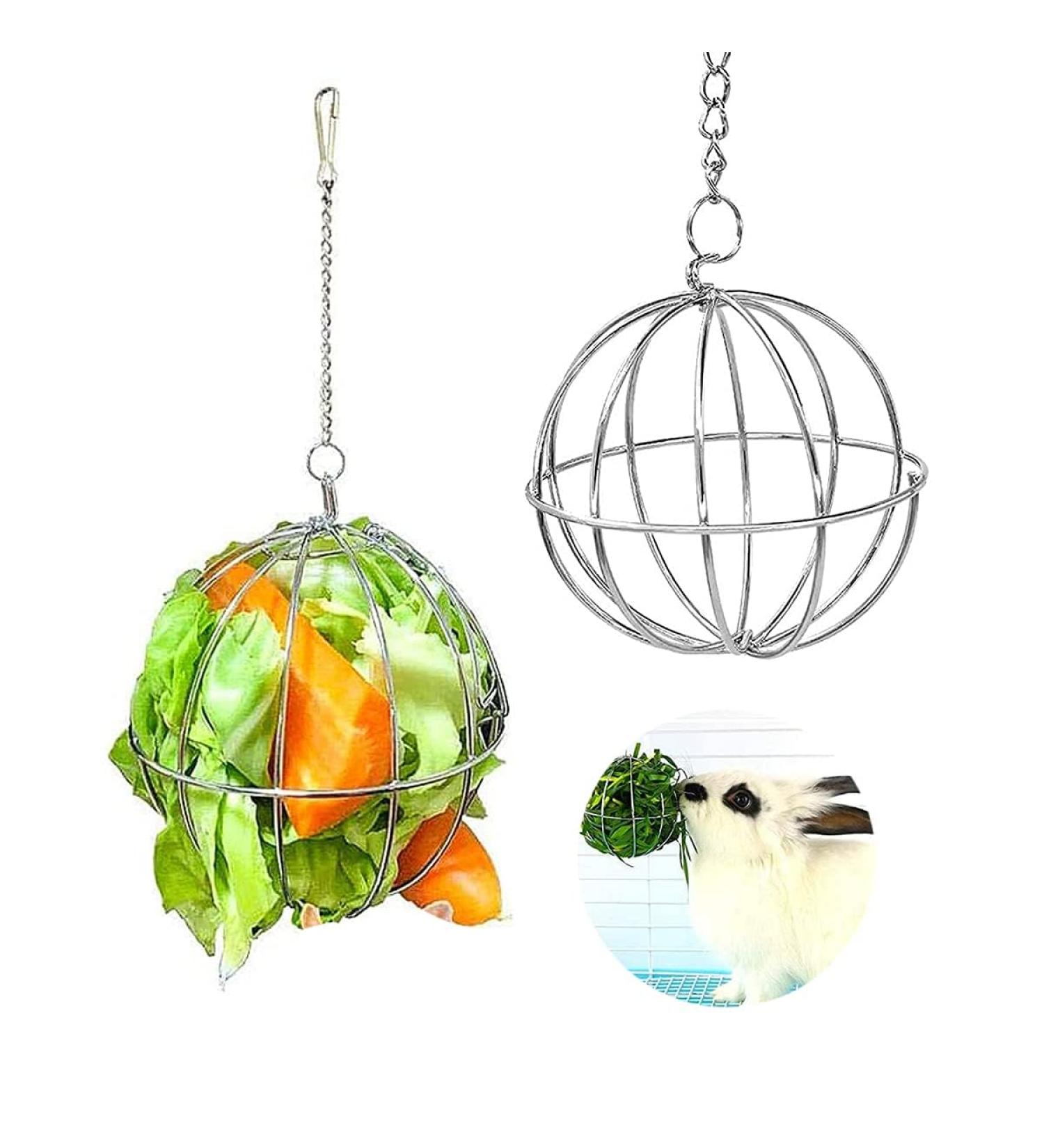 Esteopt Stainless Steel Feeder Ball Set for Guinea Pigs Hamsters & Rabbits - Durable Rodent Toy 2 Pieces Hay Ball for Small Animals - Buy Online on GoSupps.com