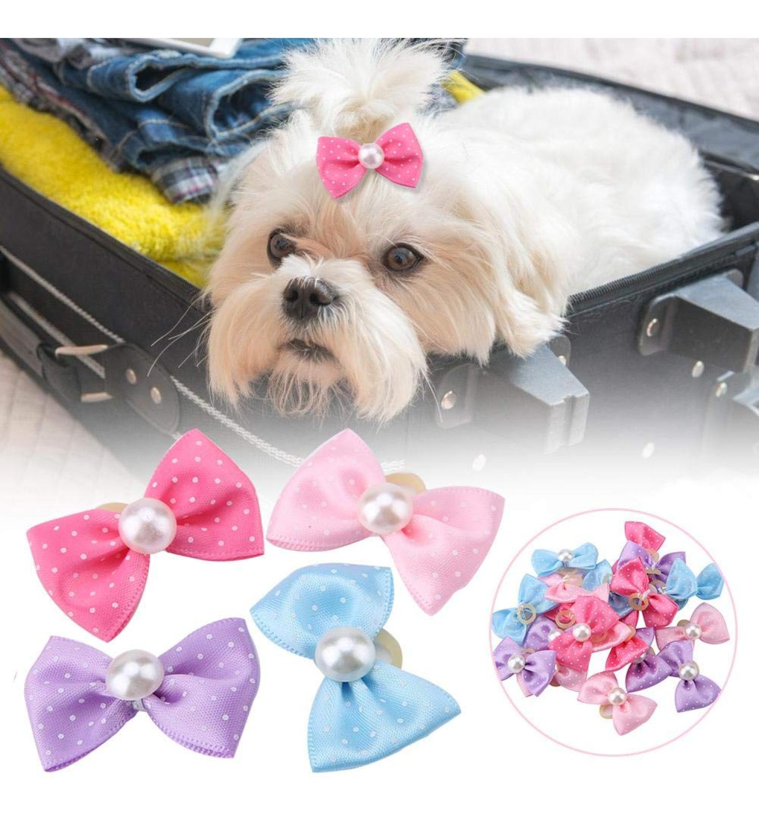 20 Pieces Dog Hair Clips & Loops - Faux Pearl Hair Bands for Puppies & Cats - Ideal Dog Salon Accessories - Buy Online on GoSupps.com