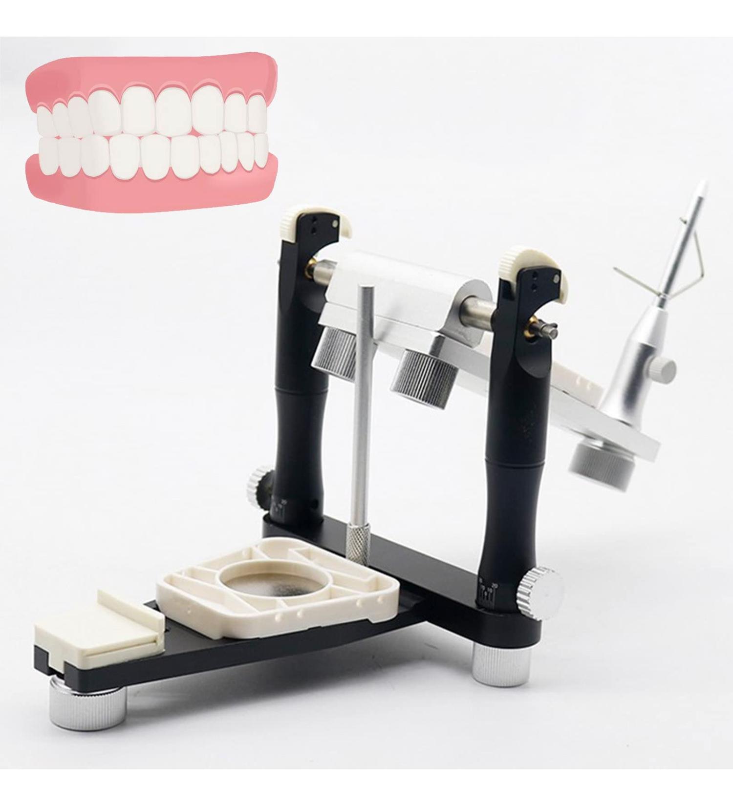 Buy Beesom Adjustable Articulator | Dental Laboratory Tool for Technicians | Dental Magnet Articulator for Prostheses - International Shipping Available - Buy Online on GoSupps.com