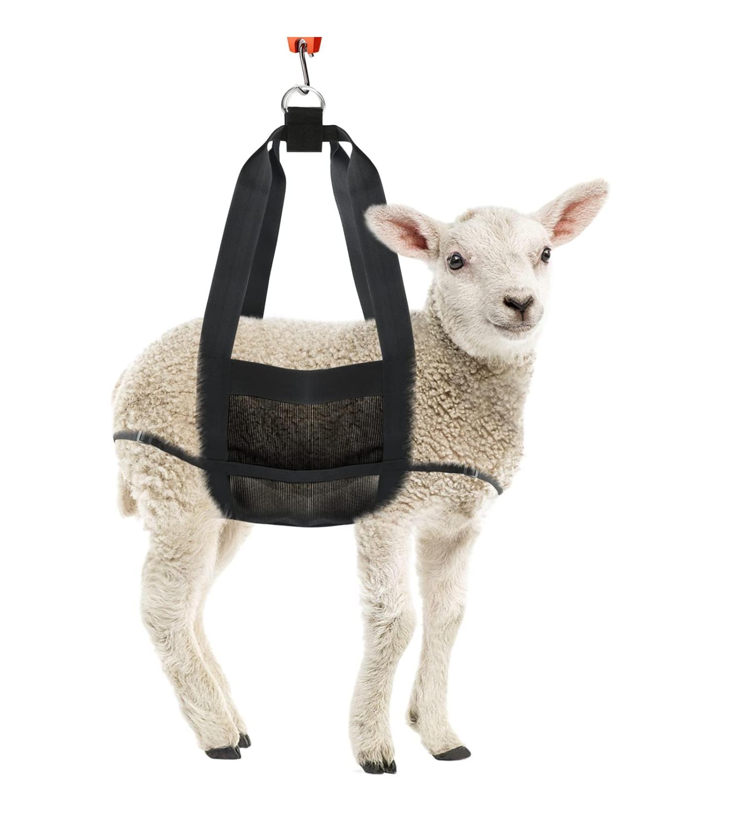 Buy Pertypet Calf Sling Weighing Scale for Dogs & Livestock - Adjustable Belt & Reinforced Velcro for Goats Lambs Alpacas - Buy Online on GoSupps.com