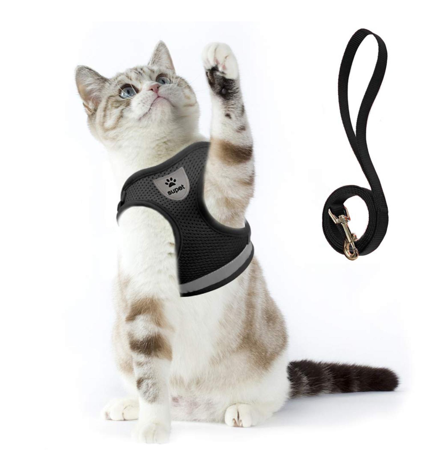 Supet Cat Harness and Leash Set - Adjustable Soft Mesh Vest for Walking Cat and Small Dog - Reflective Strap for Safety - Comfort Fit for Pet - Black (Chest 11-13) - Buy Online on GoSupps.com