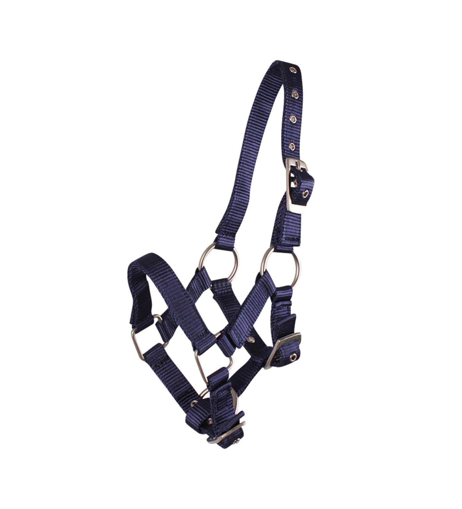 Foal halter foal nylon halter QHP 4 foal sizes 6 colours (Fallabella foal blue) Fallabella foal blue
