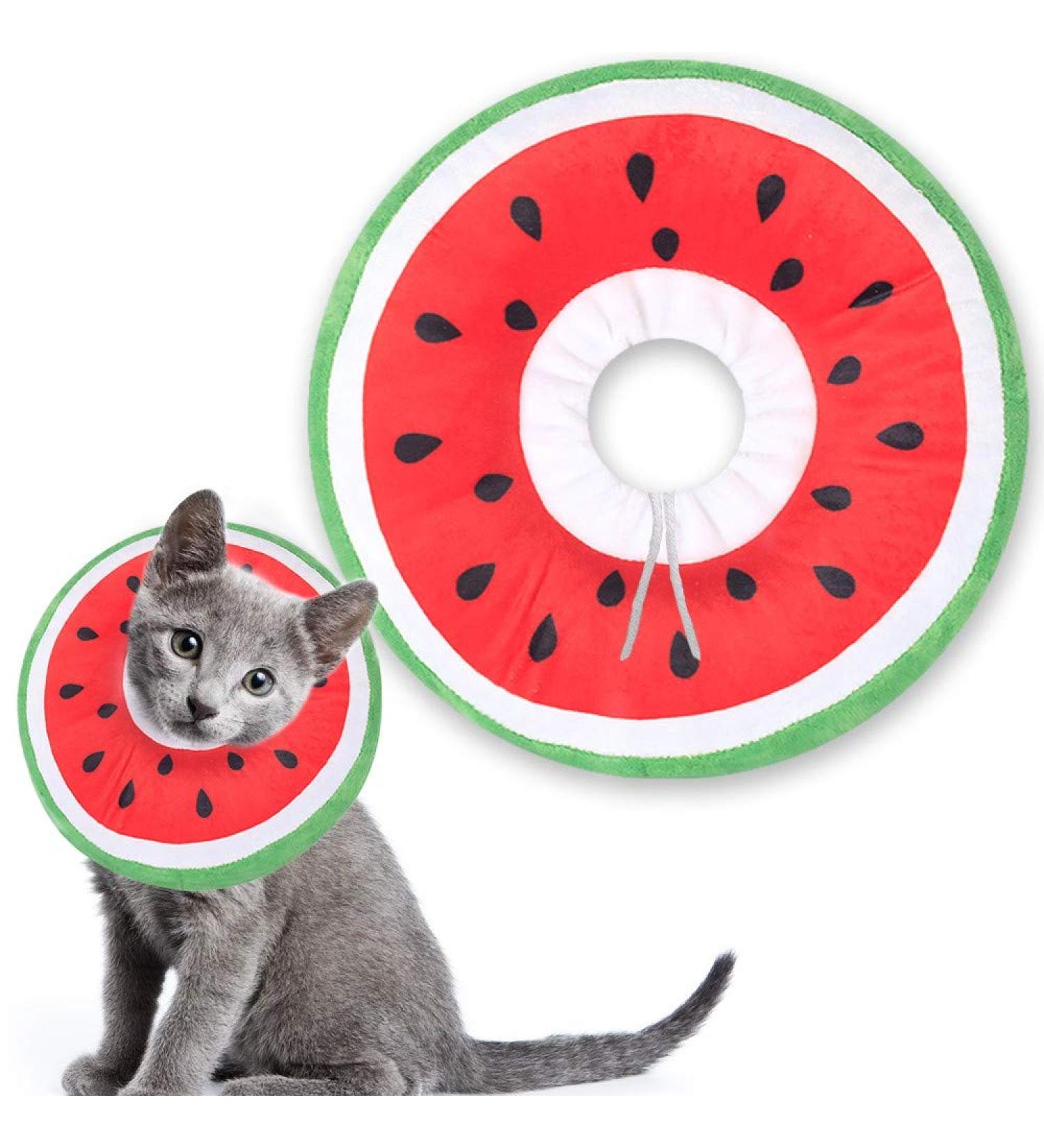 Adjustable Soft Cat Collar | Comfortable E-Collar for Wound Healing & Protection - Anti-Bite Safety Cone for Cats Kittens & Puppies - Buy Online on GoSupps.com