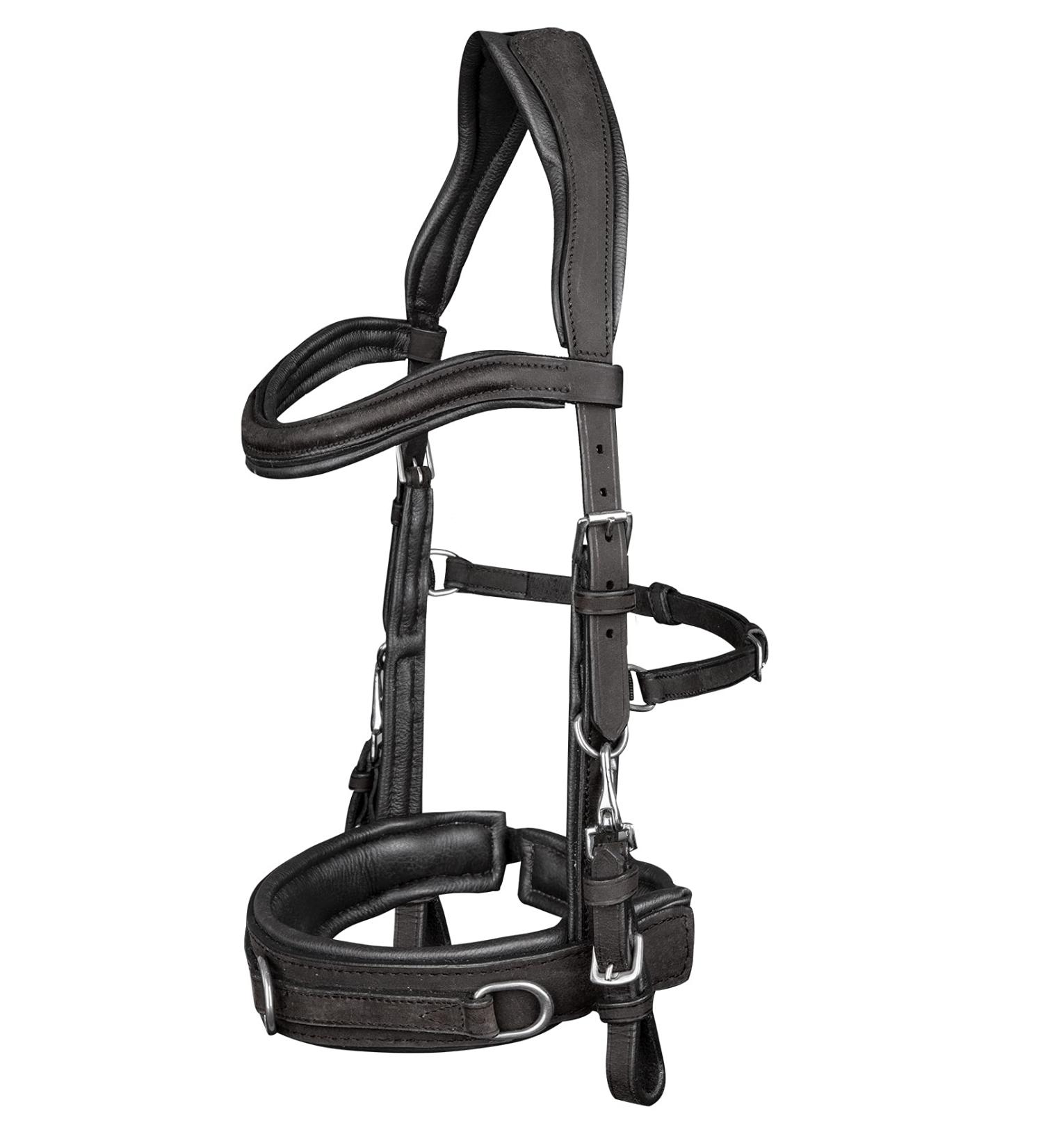 WALDHAUSEN Lederkappzaum Anatomic 01 schwarz VB