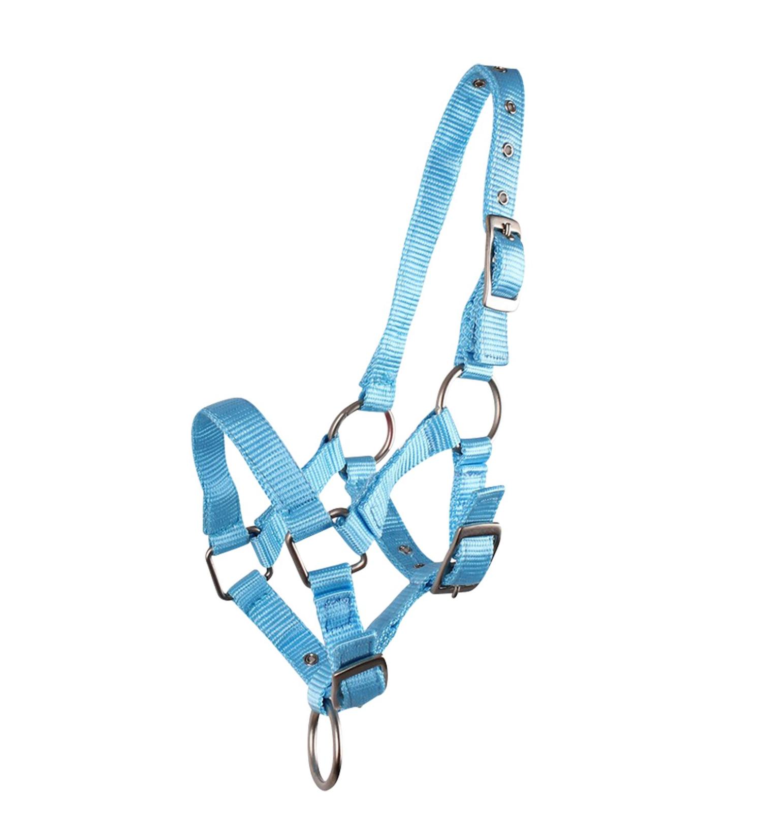 QHP foal halter foal nylon halter 4 foal sizes 6 colours (Fallabella foal light blue) Fallabella foal light blue
