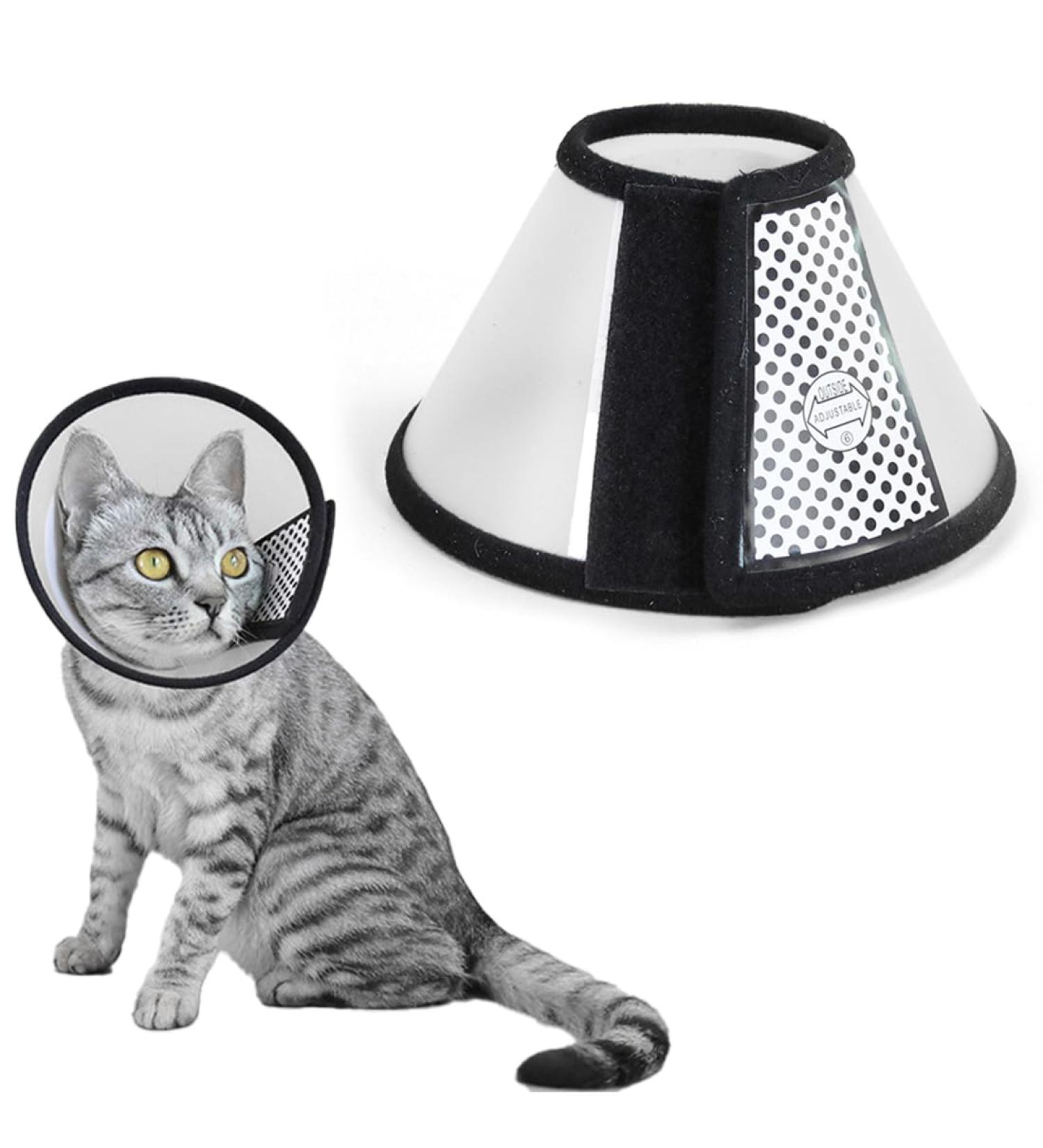 Buy ZXUPOI Soft Plastic Elizabethan Collar for Cats & Puppies | Protective Pet Cone (18-22cm) - Ideal for Kittens & Small Pets - Buy Online on GoSupps.com