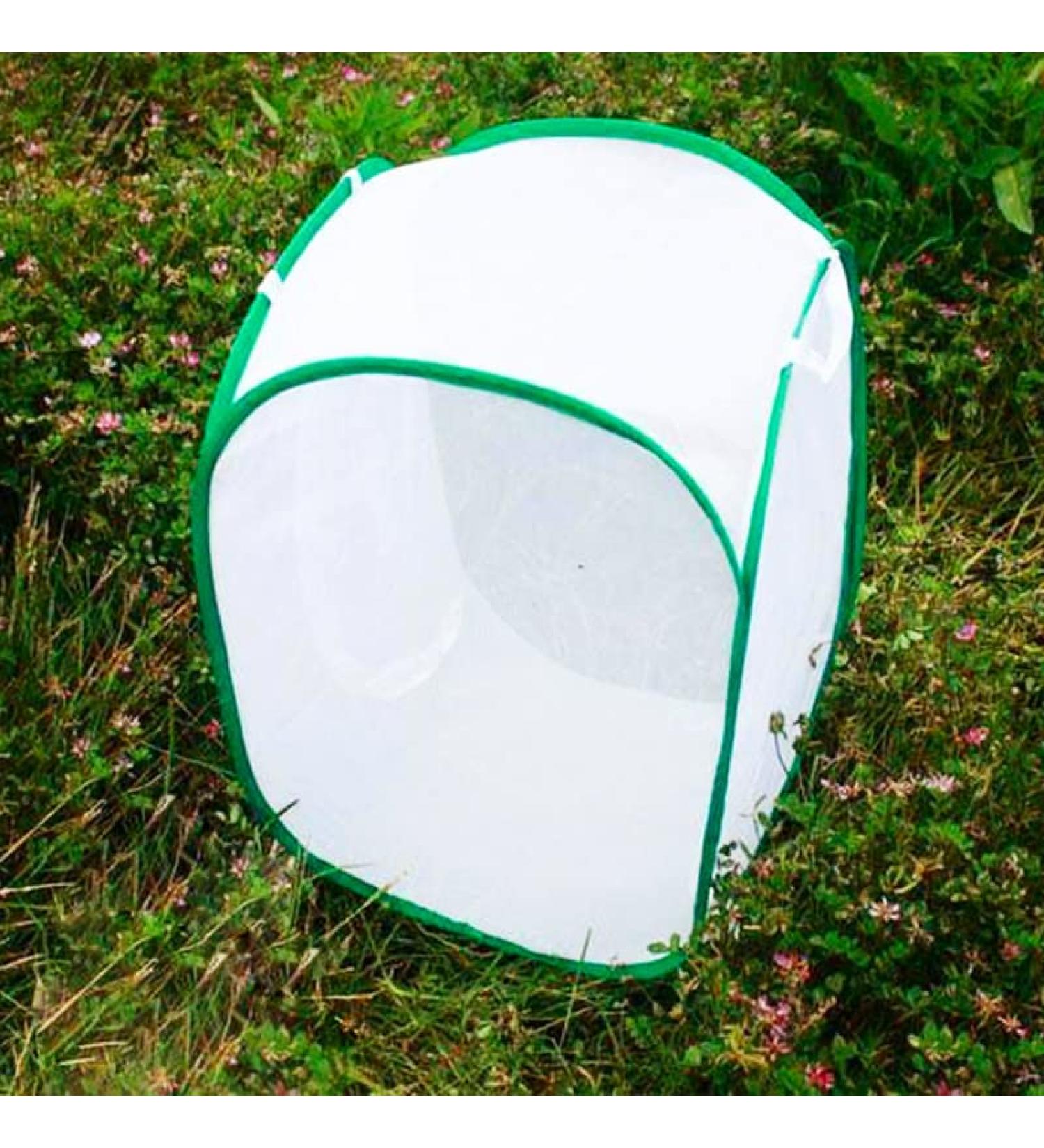 TSLBW Insect Butterfly Habitat Butterfly Garden Kit Large Butterfly Habitat Cage Collapsible Pop-up Insect Monarch Butterfly Net Butterfly House for Kids 40 * 40 * 60cm - Buy Online on GoSupps.com