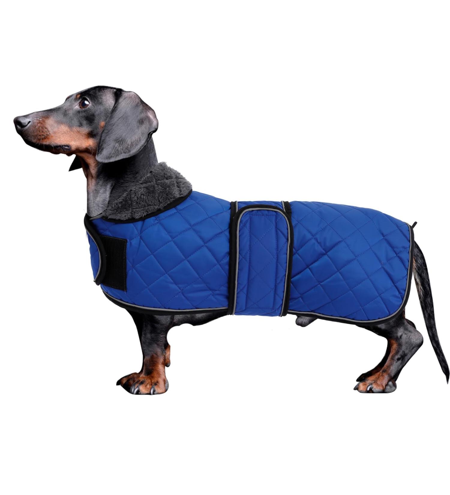 Minezi Waterproof Dachshund Winter Jacket - Wool Lined Adjustable Navy XL (55-58cm) - Ideal Dog Clothing for Cold Weather - Buy Online on GoSupps.com