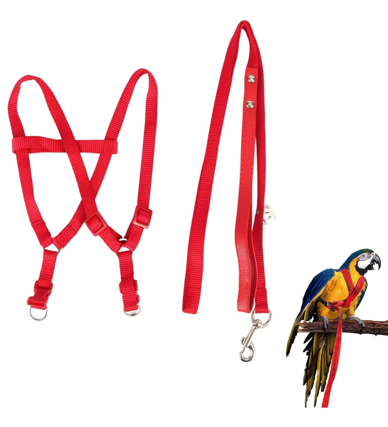 Felenny Bird Dishes & Leash - Adjustable Outdoor Accessories for Scarlet Macaw Sun Conure and Nymphensittich - Anti-Bite Protection (Large Red) - Buy Online on GoSupps.com
