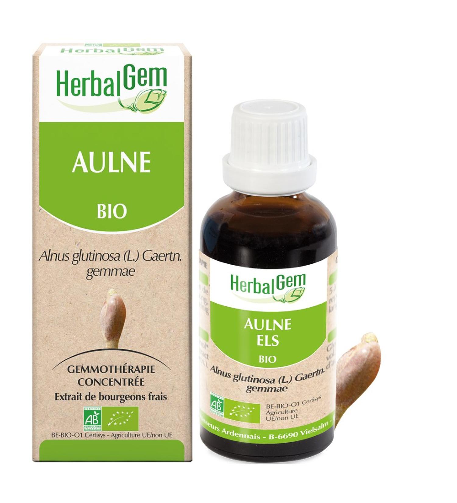 HERBALGEM - Mother Macerate - Organic Alder - Concentrated Gemmotherapy Food Supplement - Fresh Bud Extract - For Natural Defenses & Circulation - Vegan - 30 ml - Buy Online on GoSupps.com